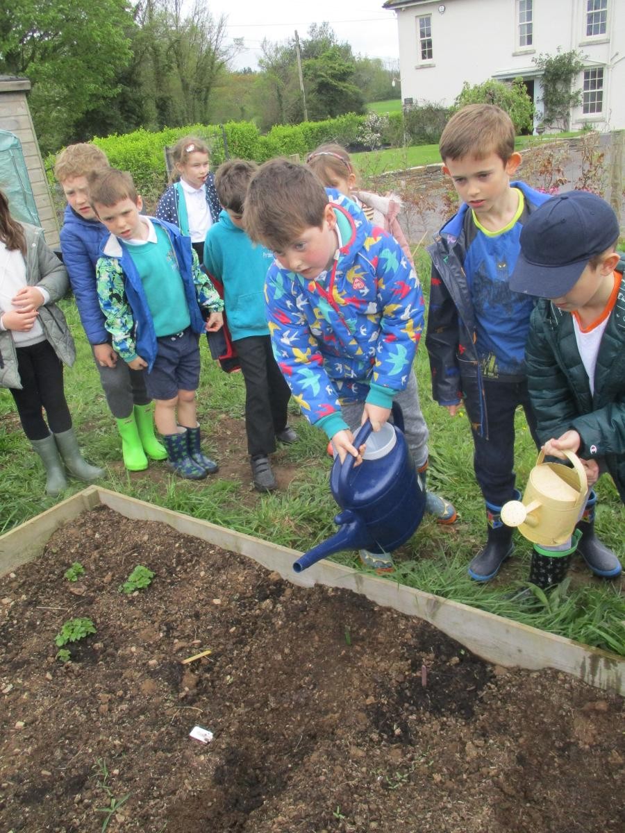 Gardening Club