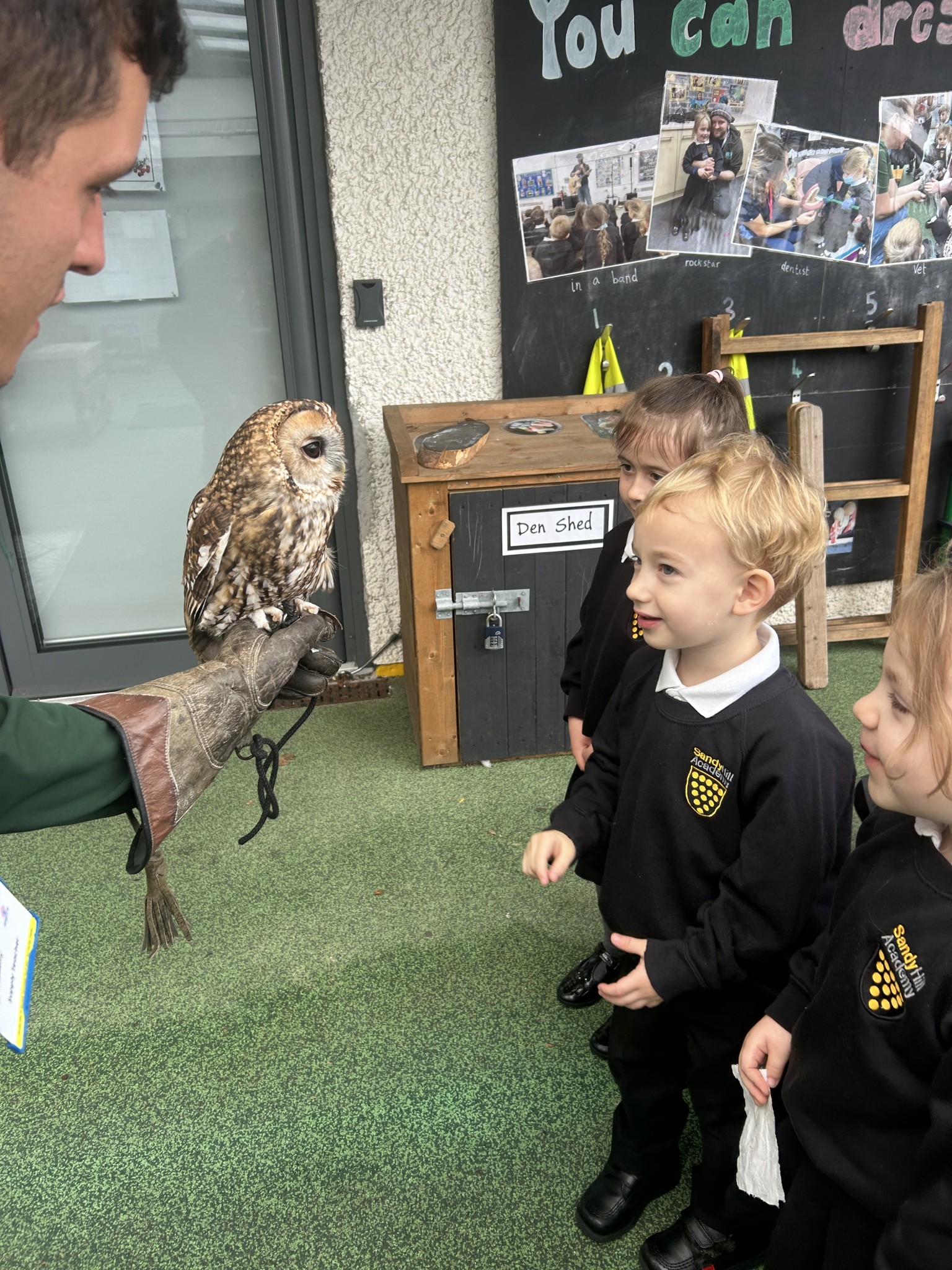 Owl Experience 