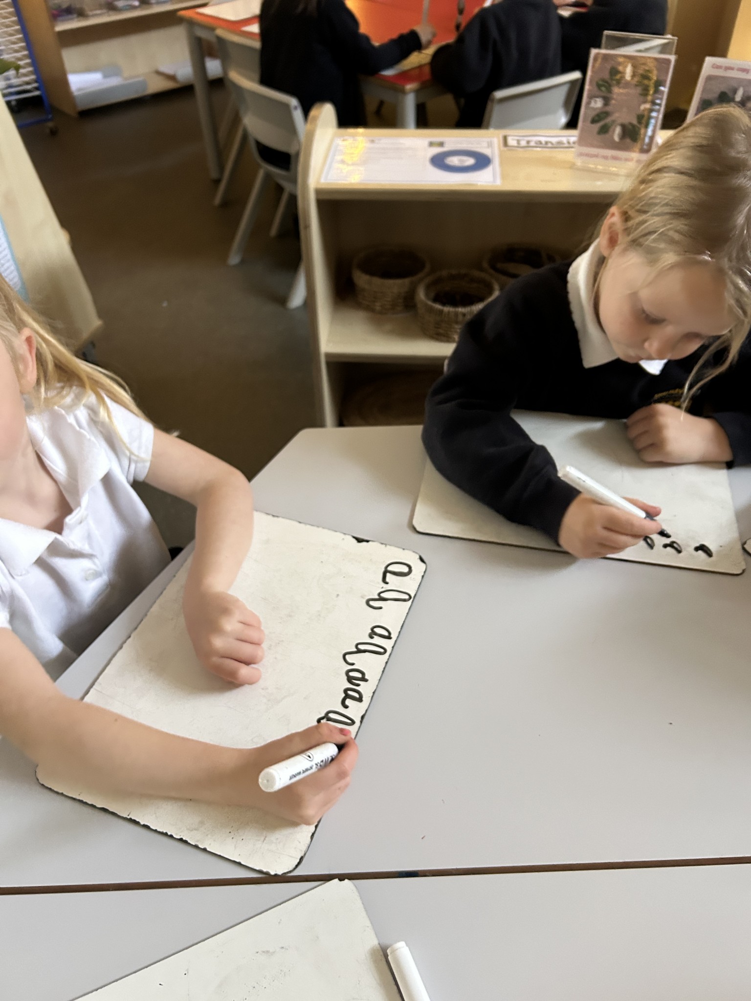 Letter Formation 