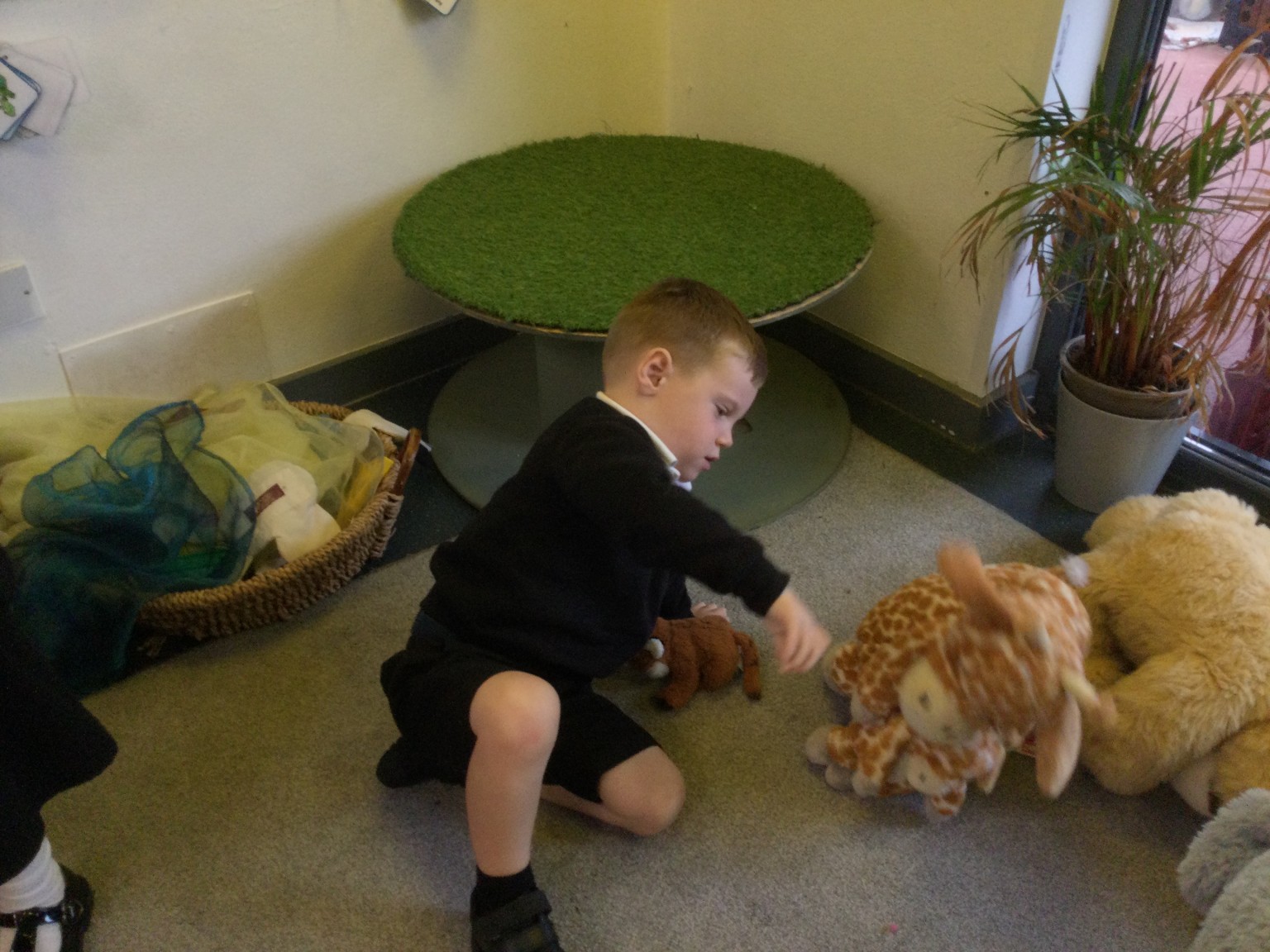 Reading to my animal friends