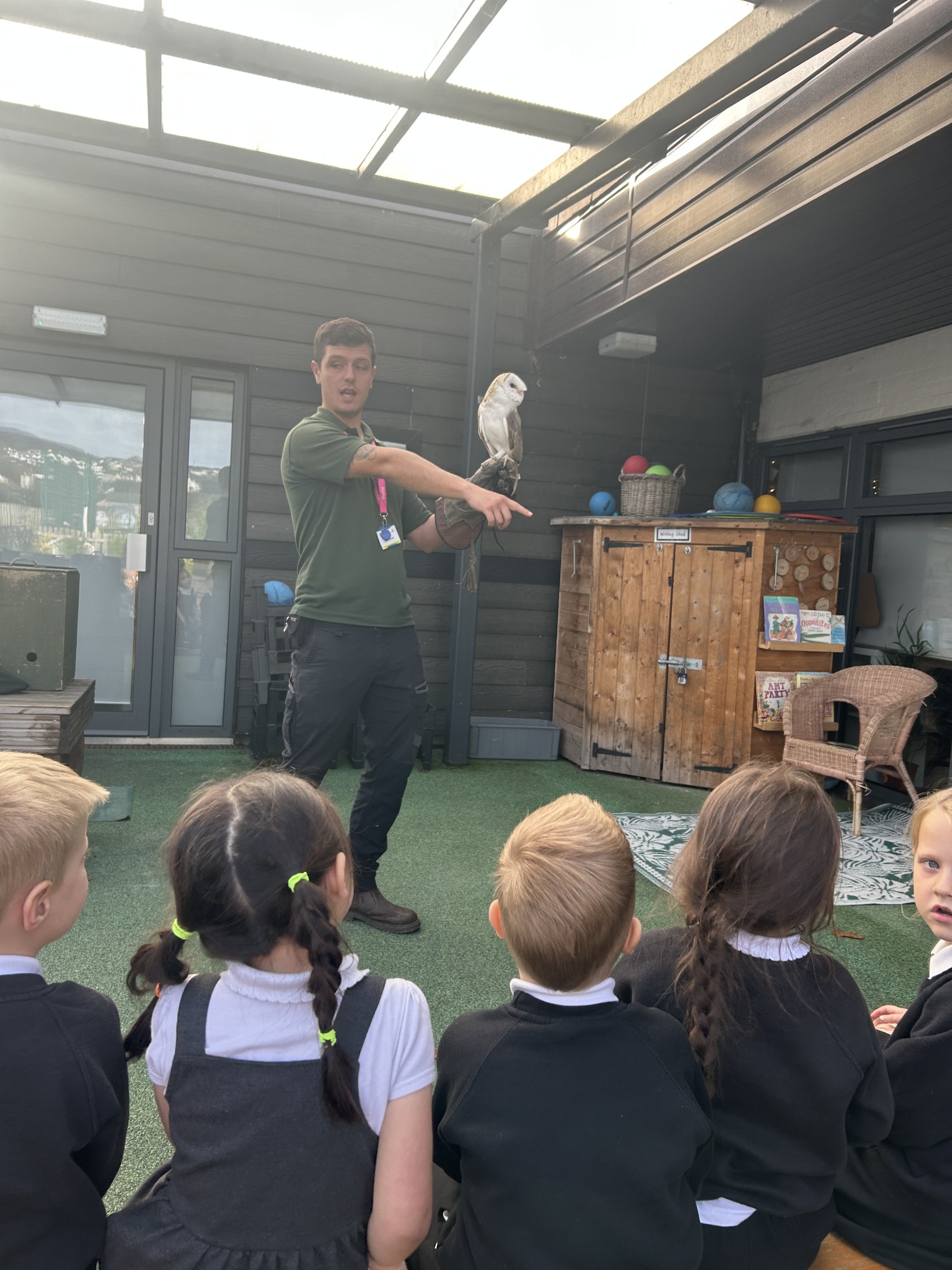 Owl Experience