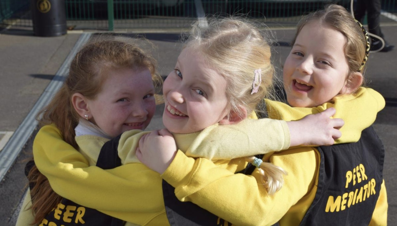 Peer Mediators