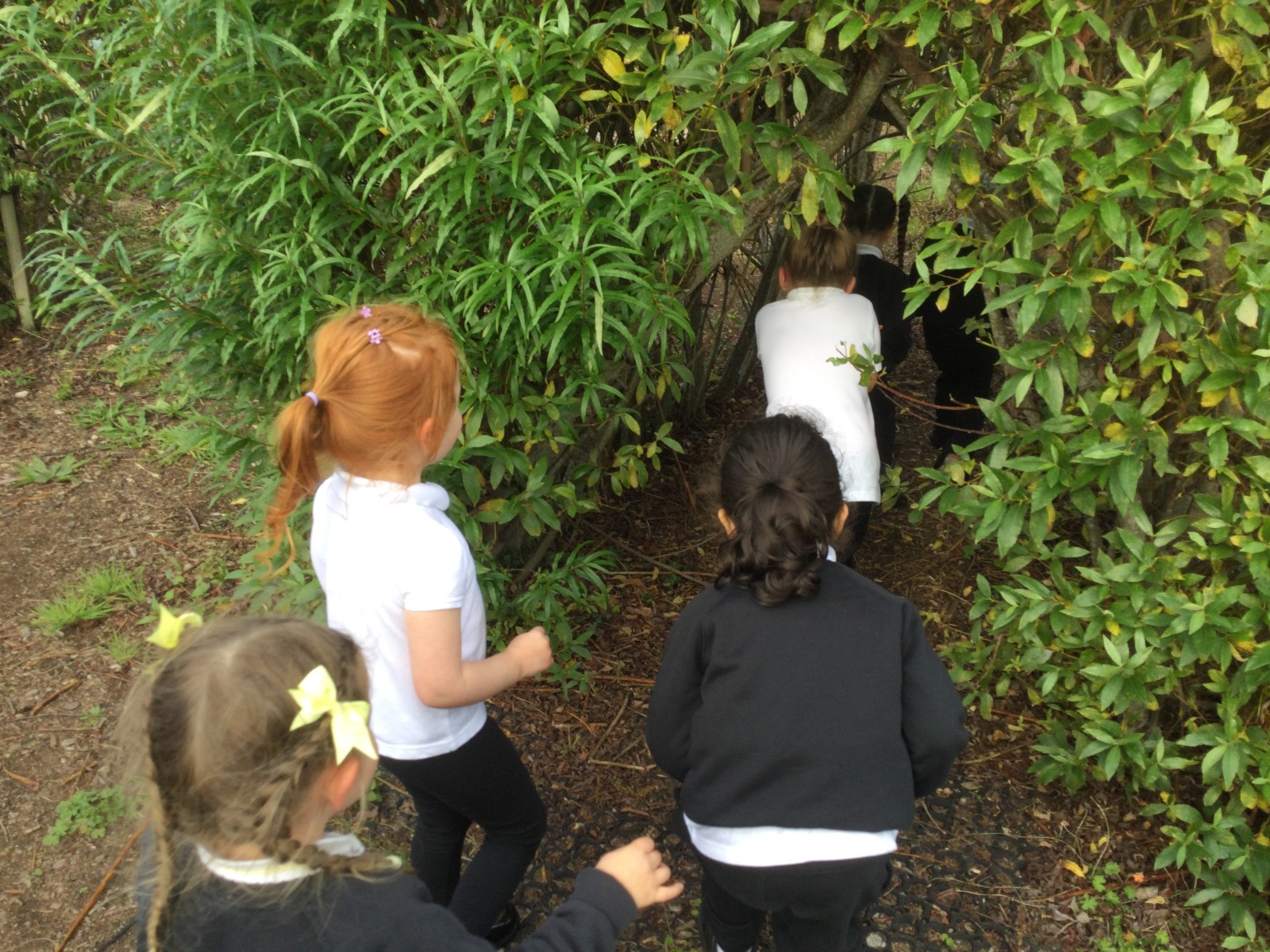 Exploring the environment!