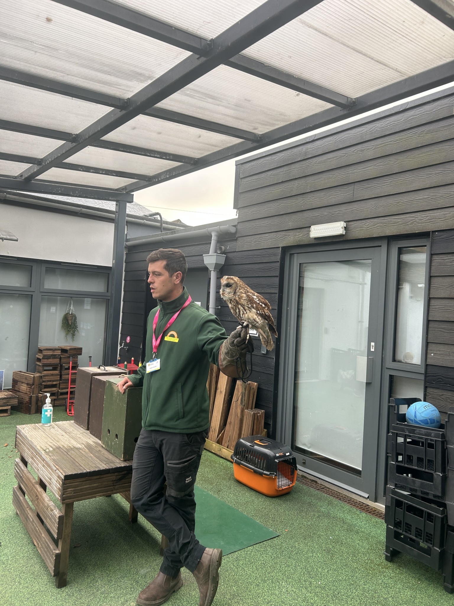 Owl