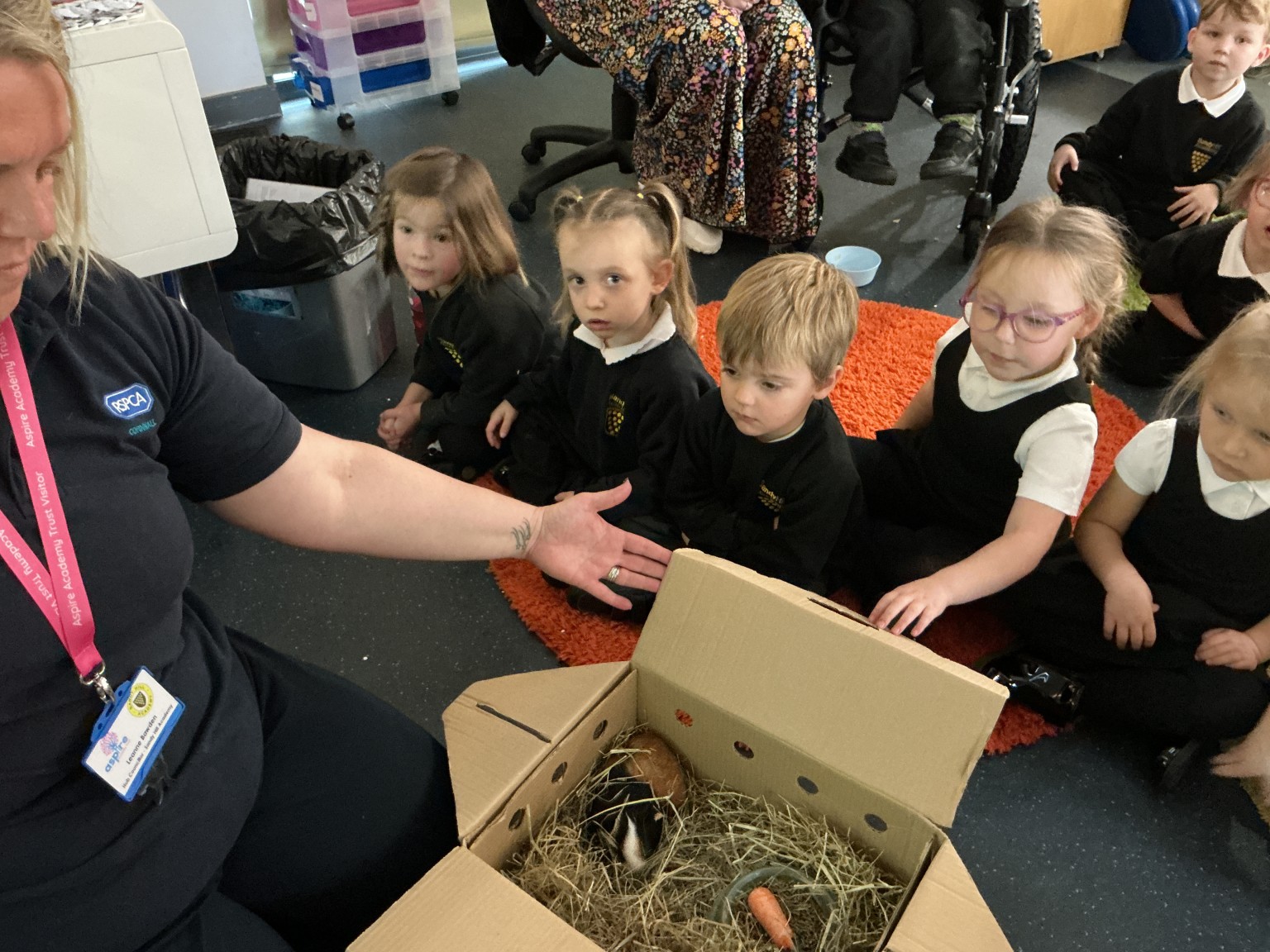 Learning about our school pets!