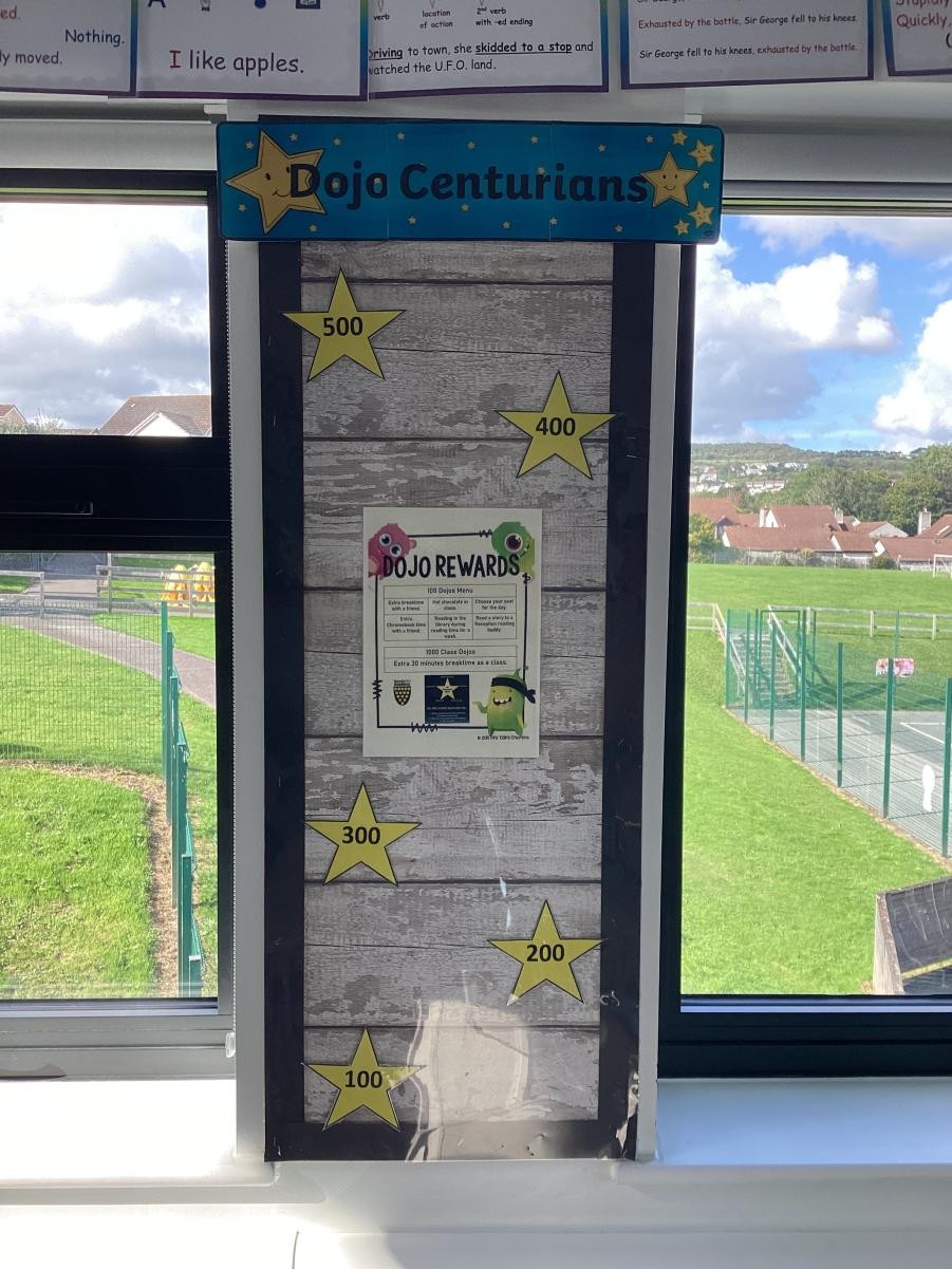 Dojo Display
