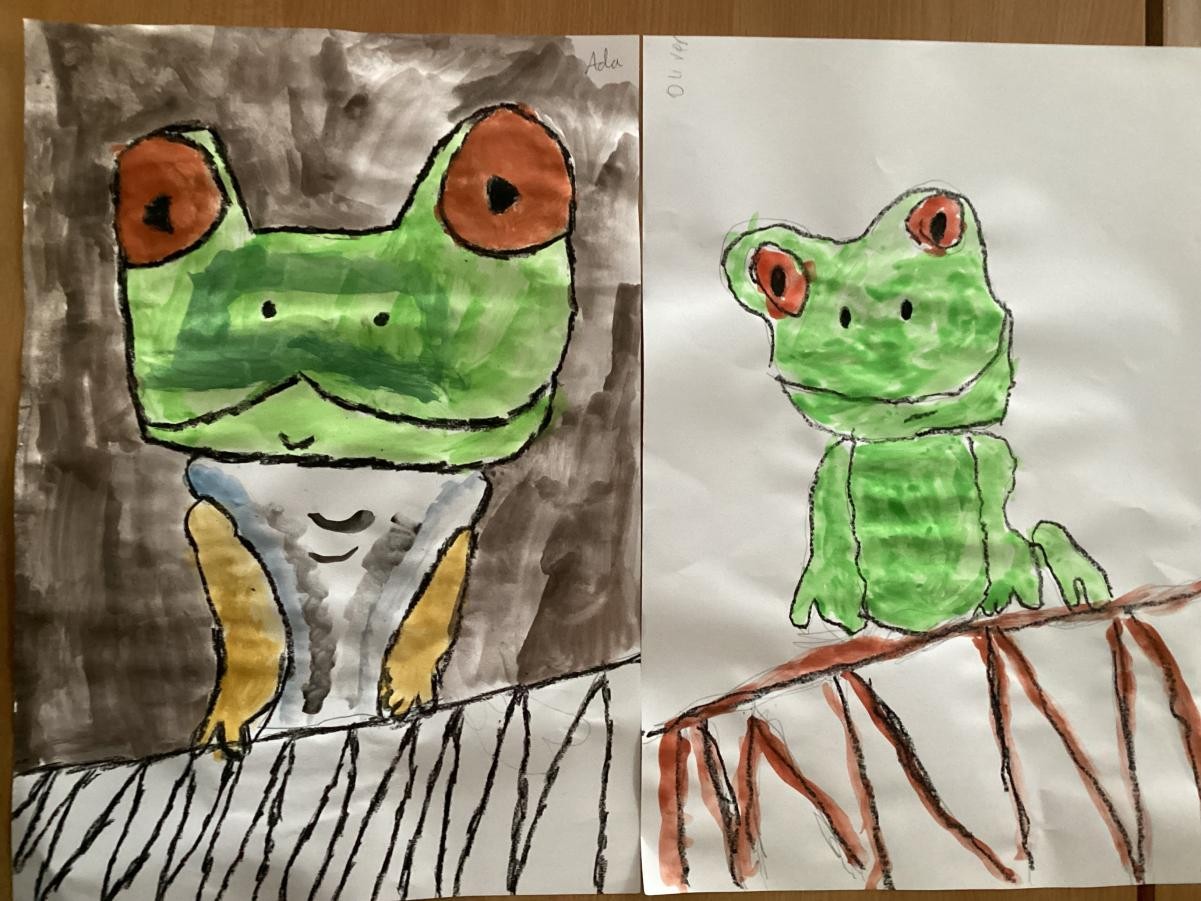 We have been drawing some rainforest frogs.