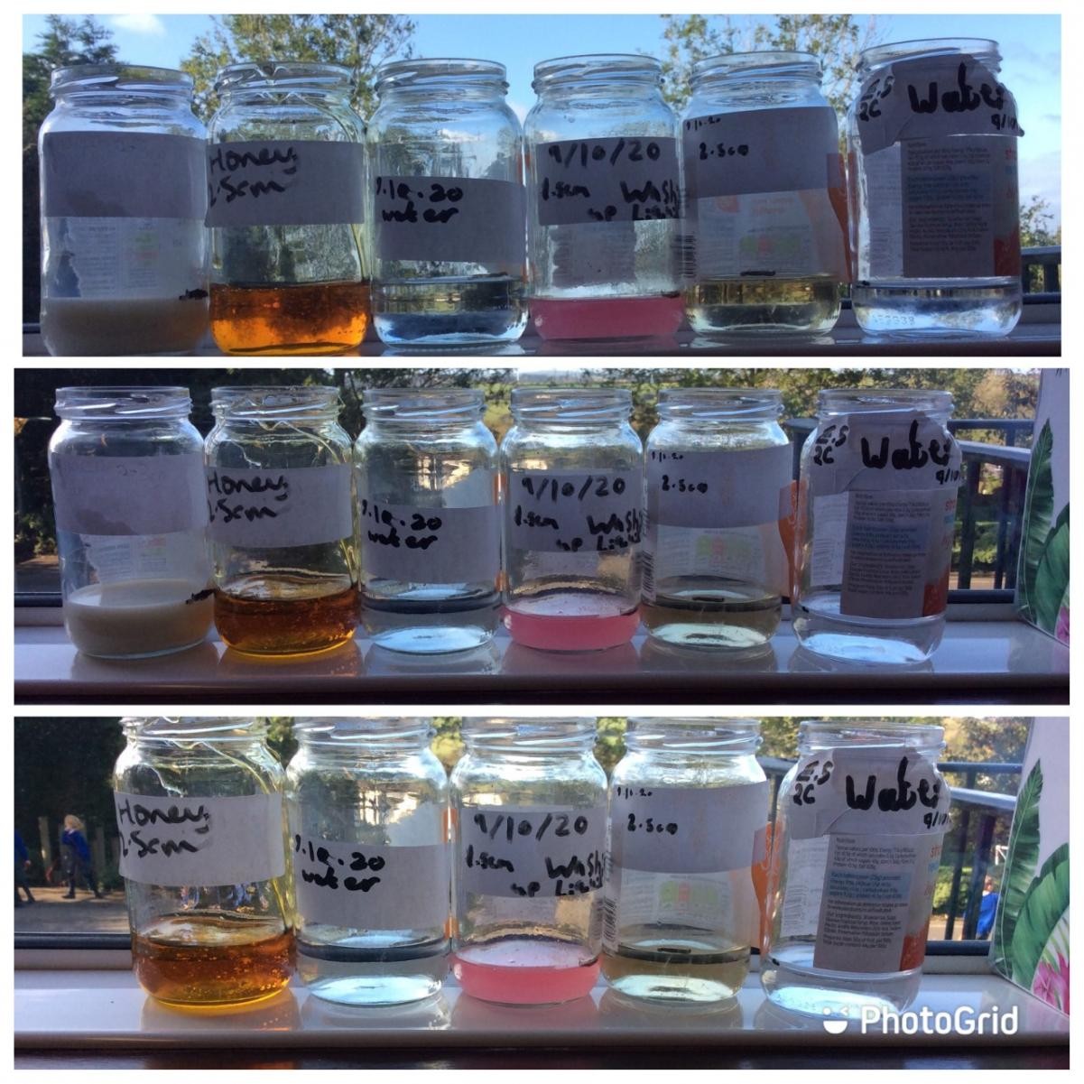 Class 4 investigating evaporation.
