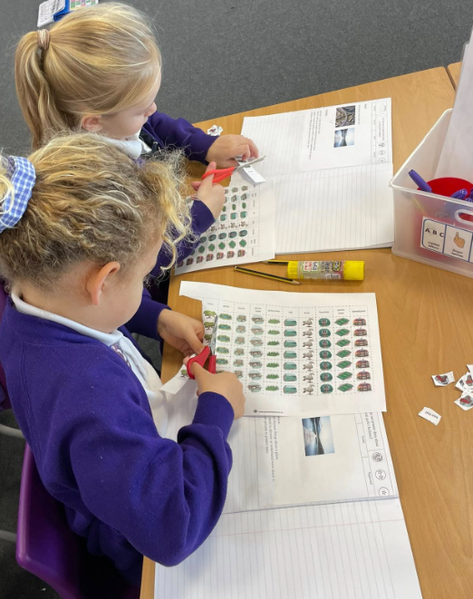 After a trip to the park, the children made pictograms to represent the data they collected.