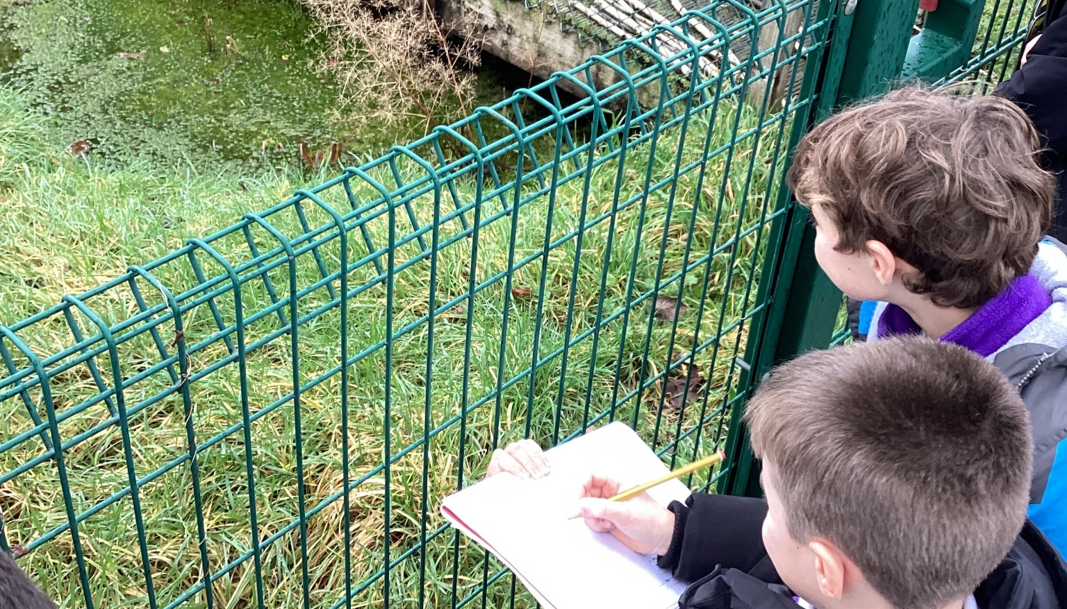 Outdoor Science 