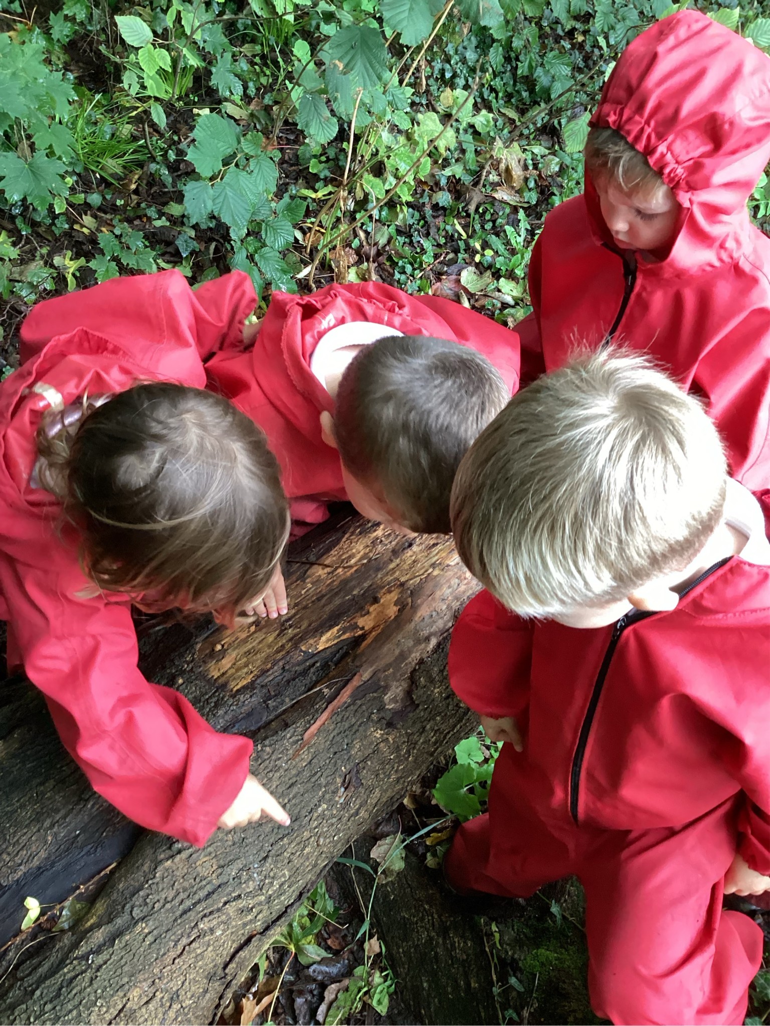Outdoor Learning 