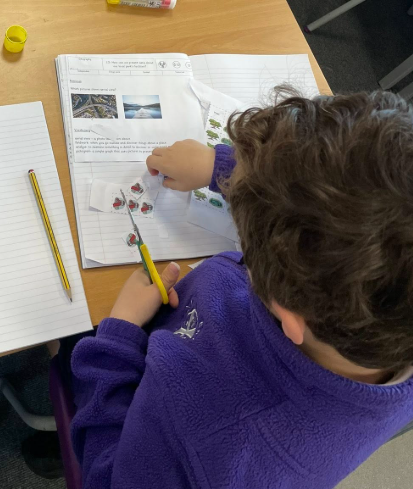 After a trip to the park, the children made pictograms to represent the data they collected.