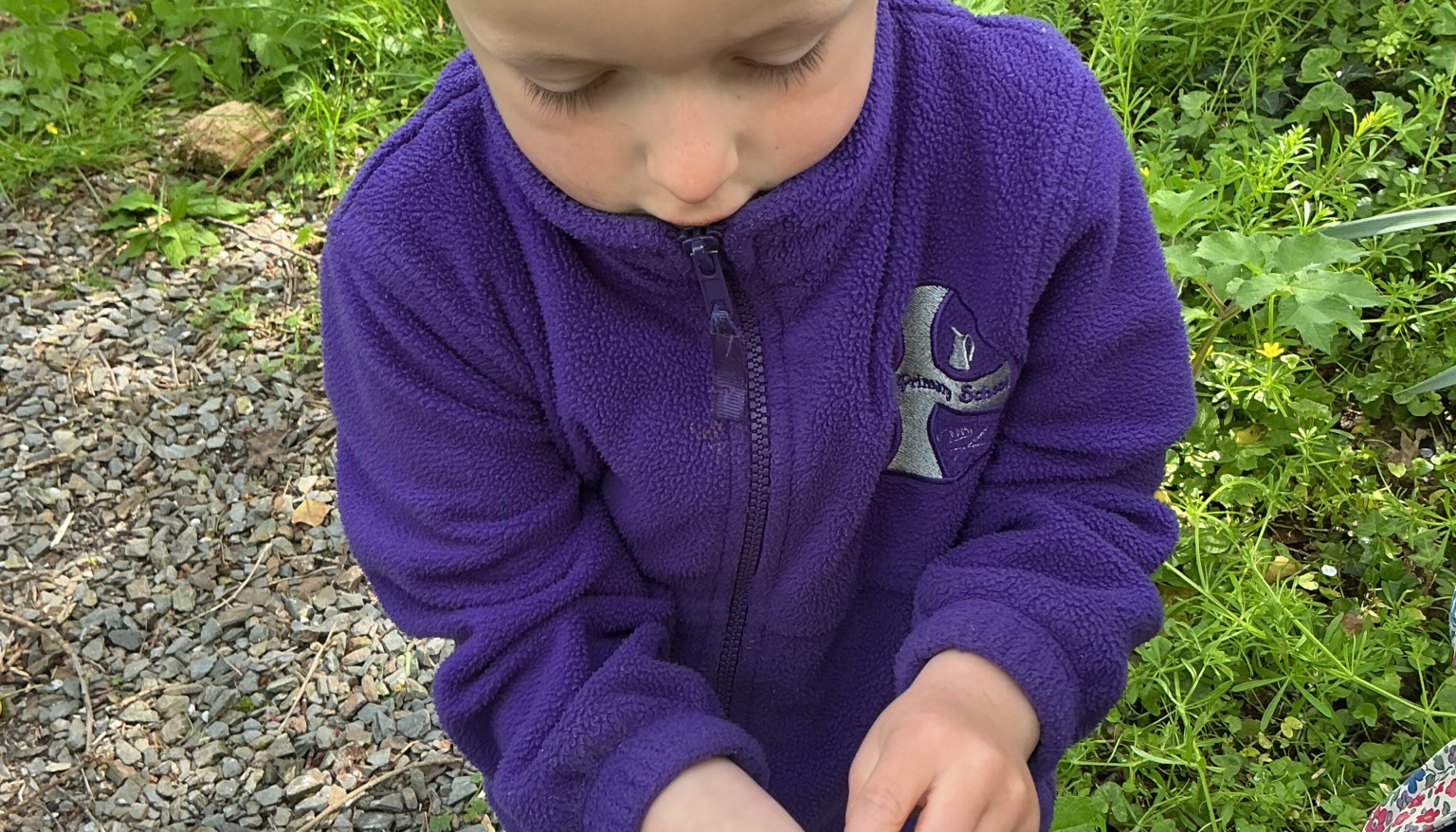 Minibeast hunt