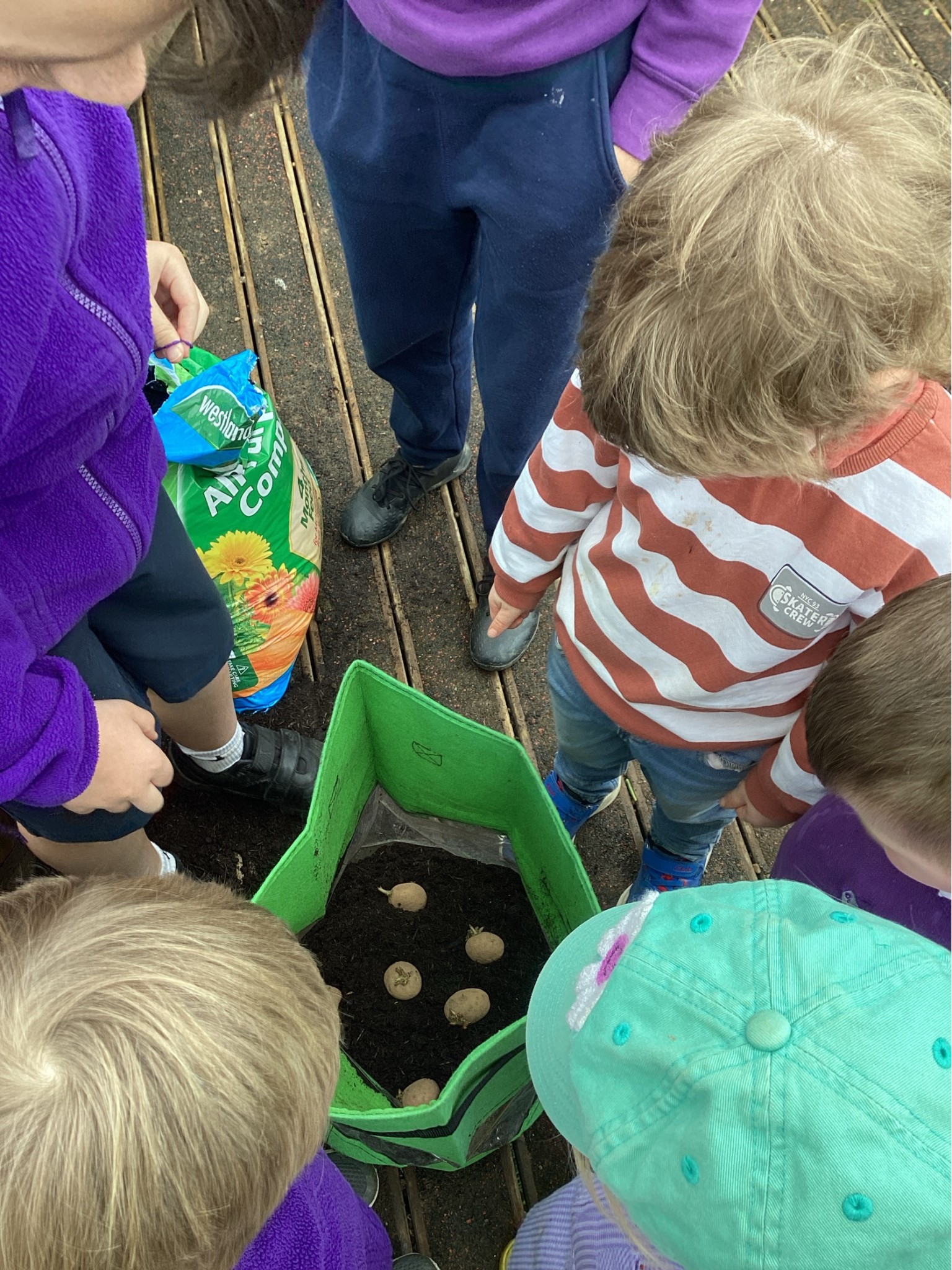 Planting