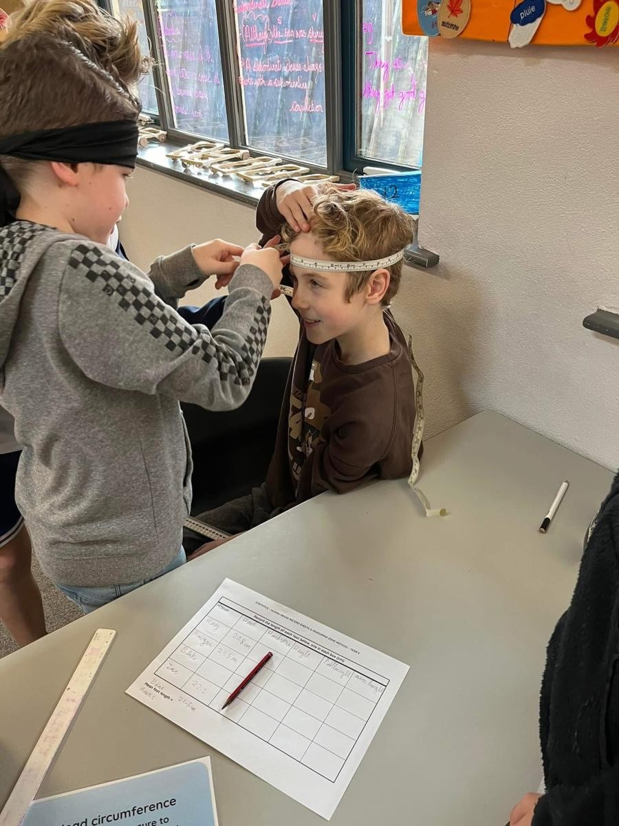 Human Means!
We used our measuring skills to measure our heads to find the mean average.