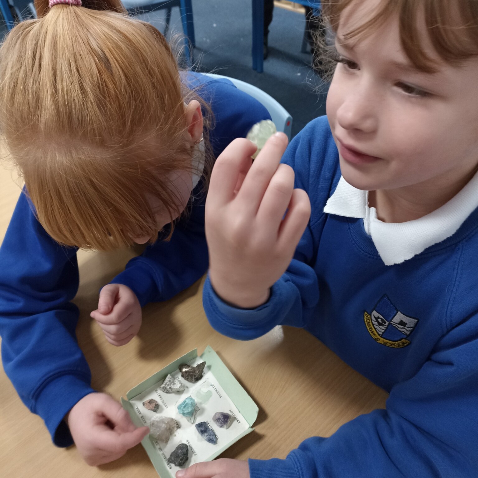 rocks and fossils