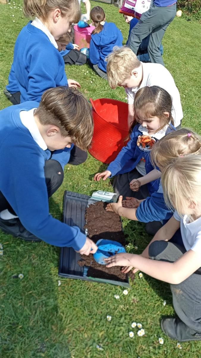 Planting and growing