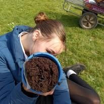 Planting and growing