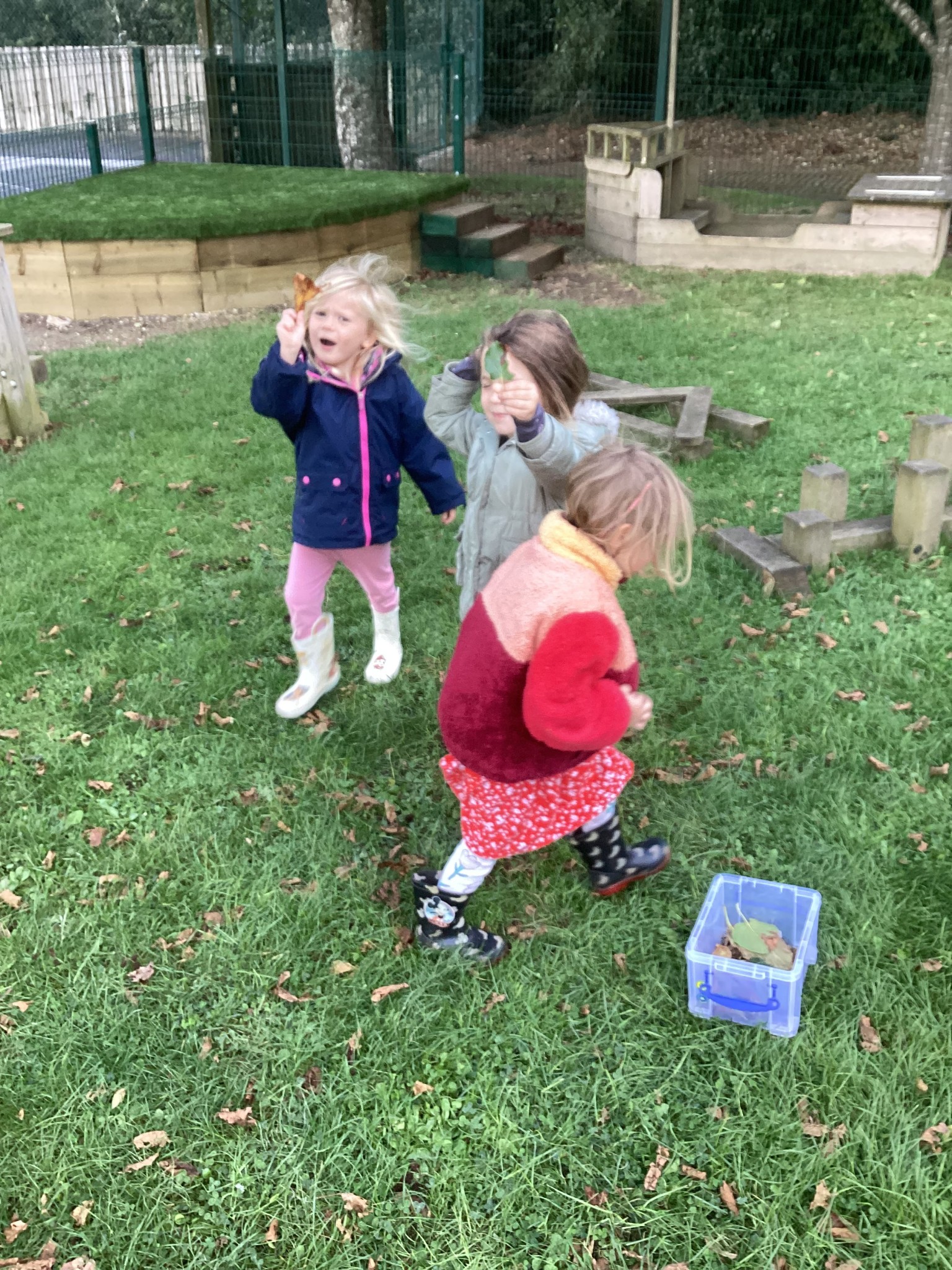 Finding lots of different autumn leaves for our leaf hedgehogs!