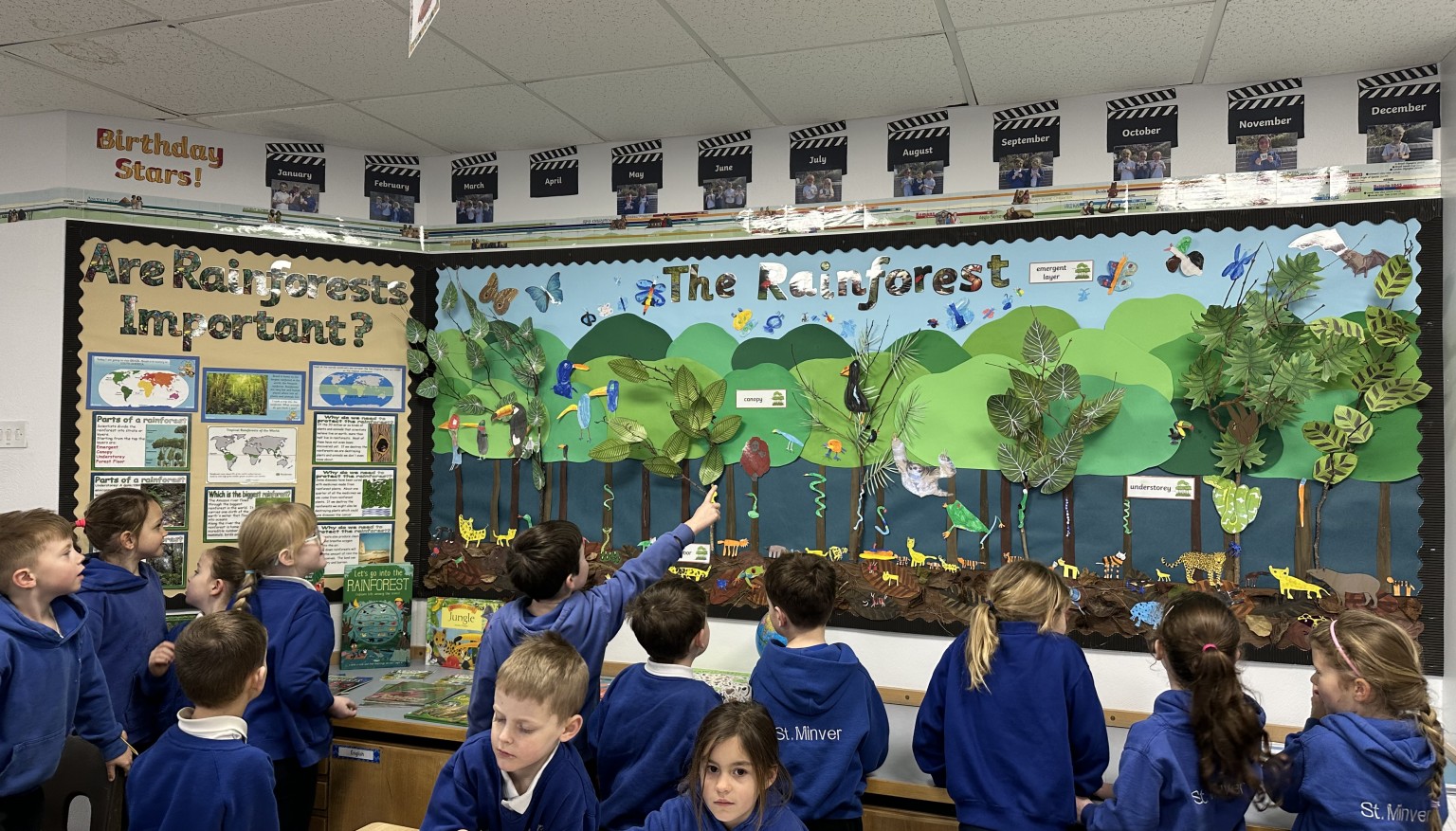 Rainforest Artwork