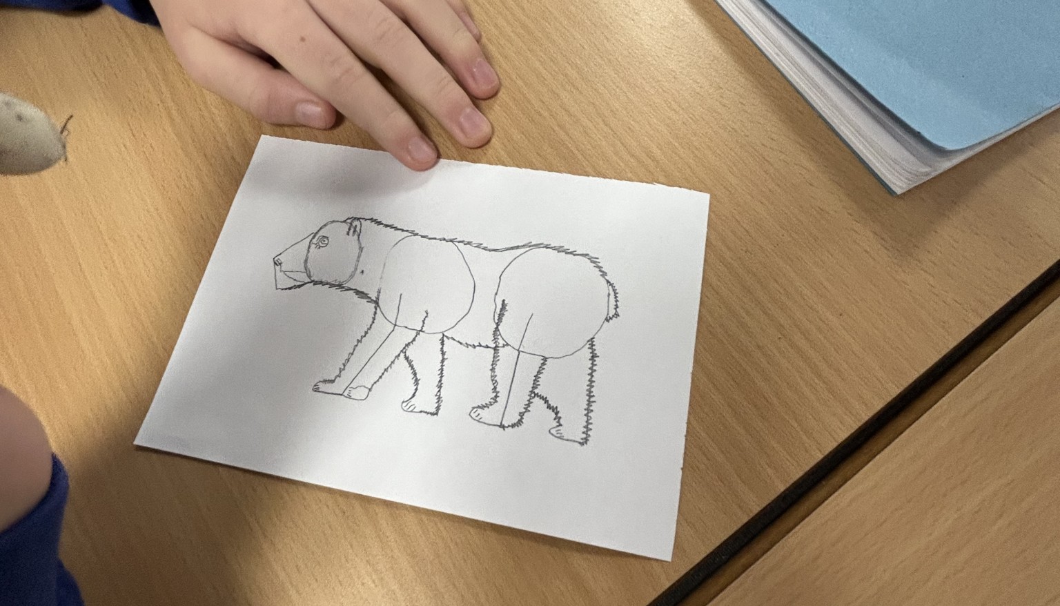 Careful consideration has been made regarding sizing and proportions.