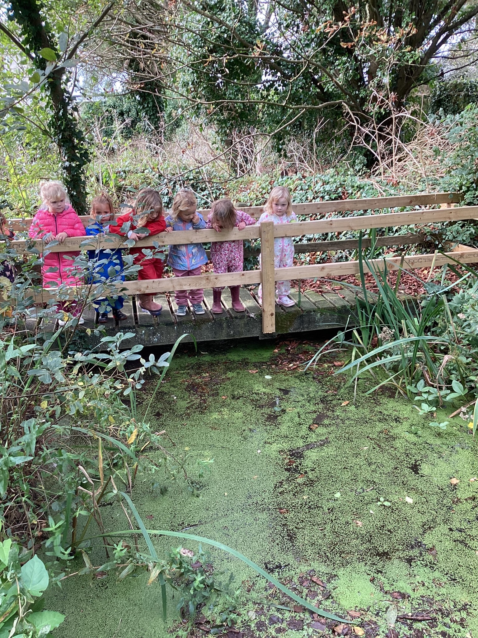 Looking for Frogs and Tadpoles in our science garden pond!