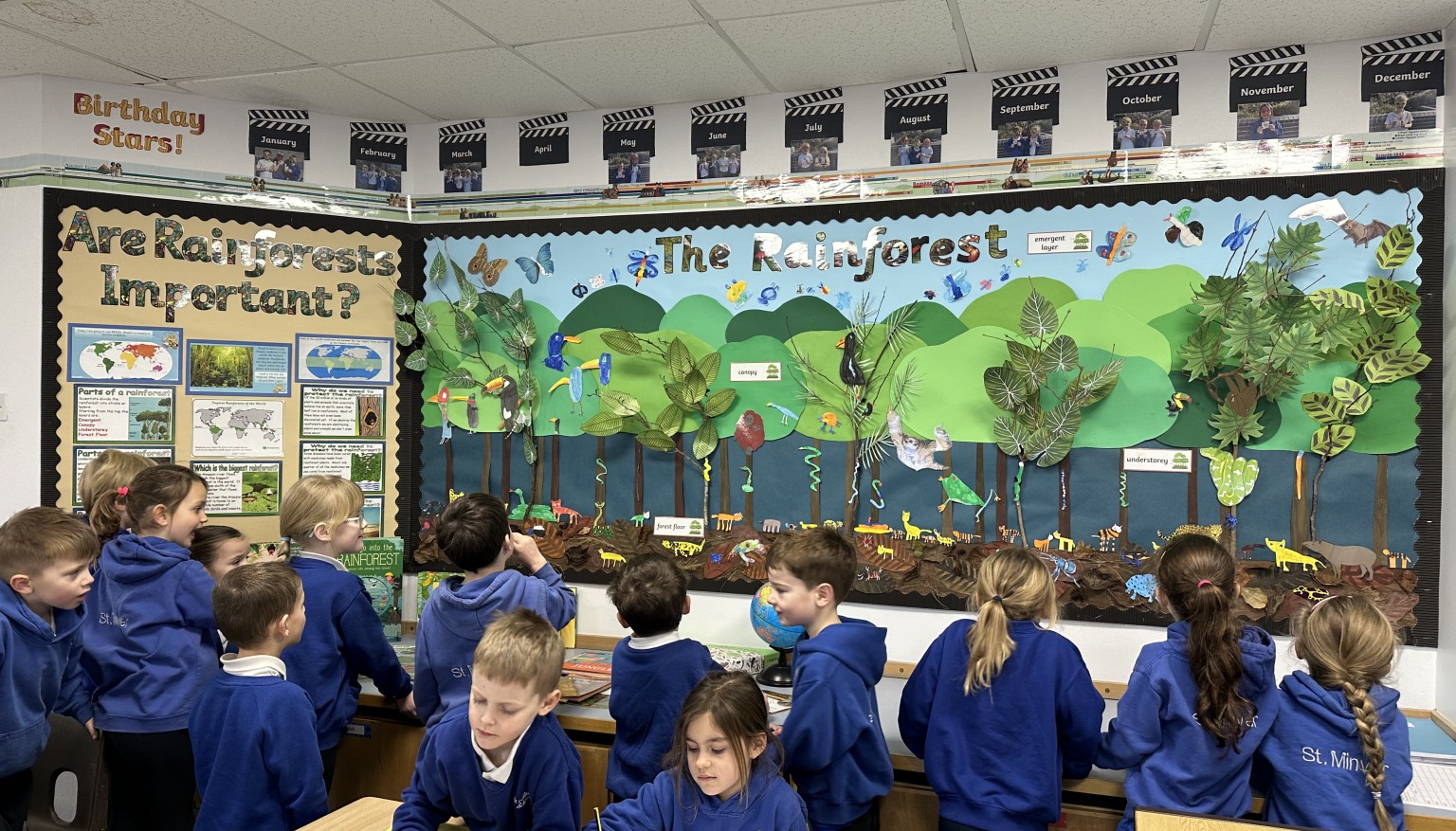 Rainforest Artwork