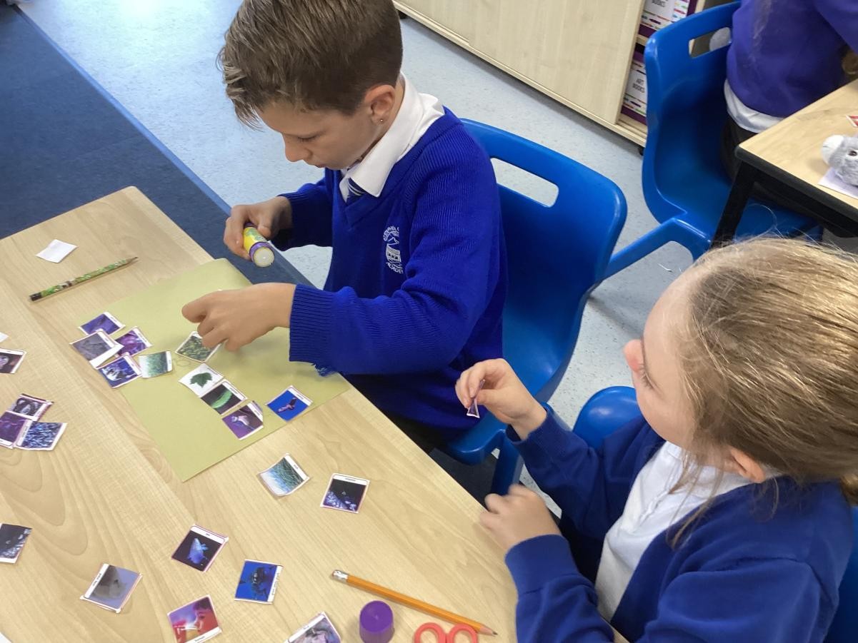 Exploring and using classification keys to help group  living things. 