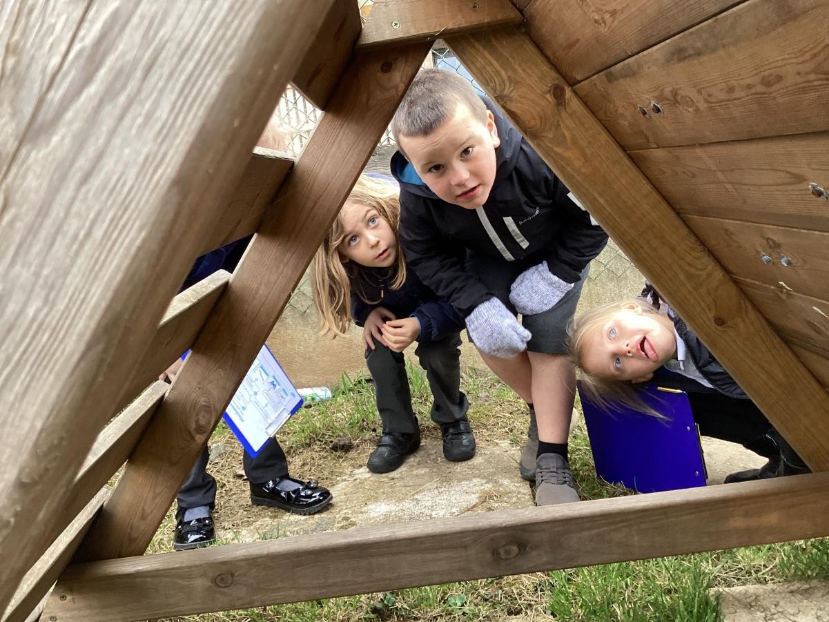 Looking for mini-beasts. 