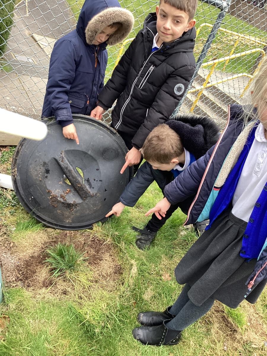 We're going on a bug hunt!