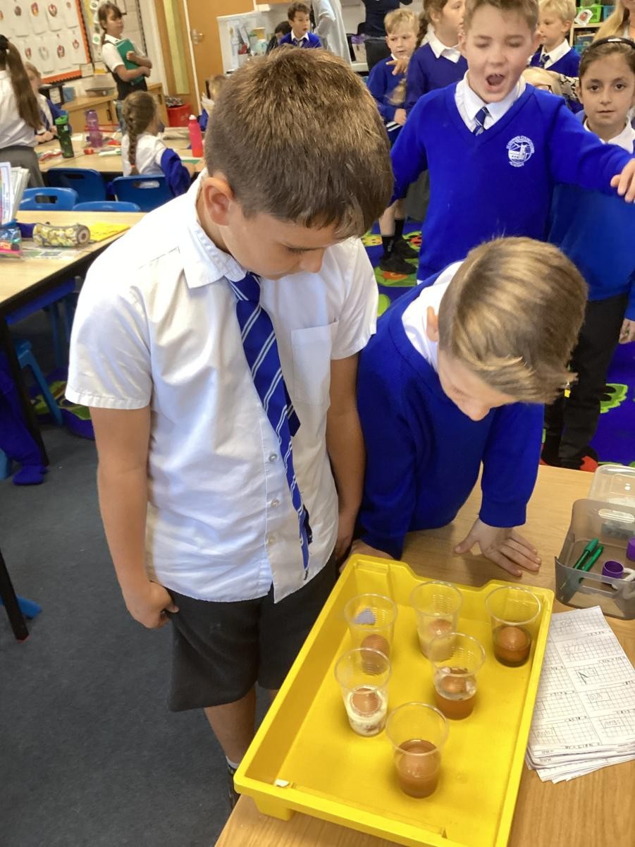 Learning about teeth as part of the digestive system and looking at the similarities and differences between eggs and teeth. 