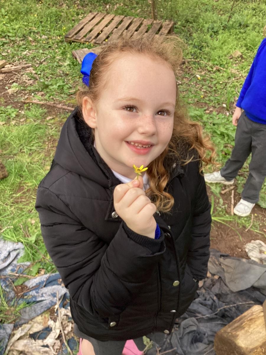 Going on a spring walk! I found a buttercup!