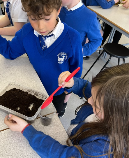 Using equipment in our science lab. 