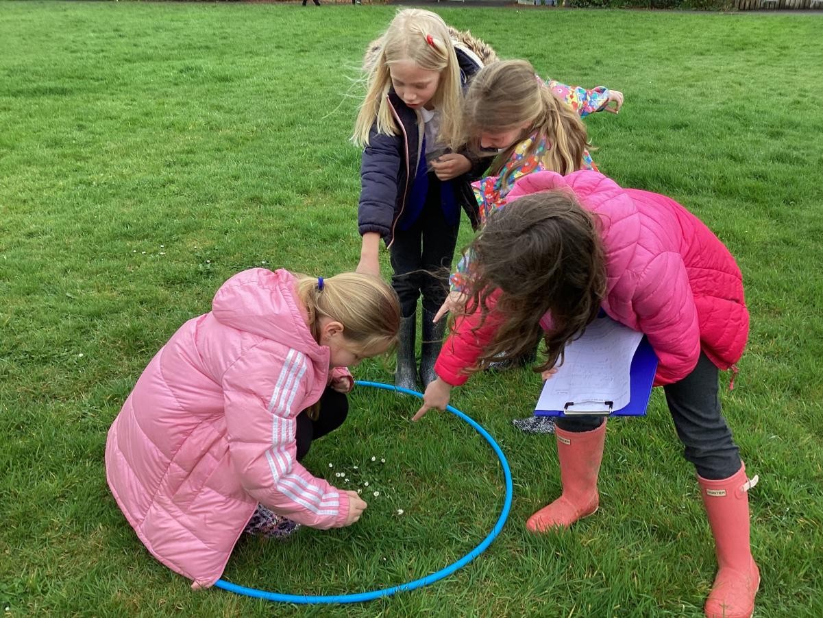 Counting mini-beast habitats. 