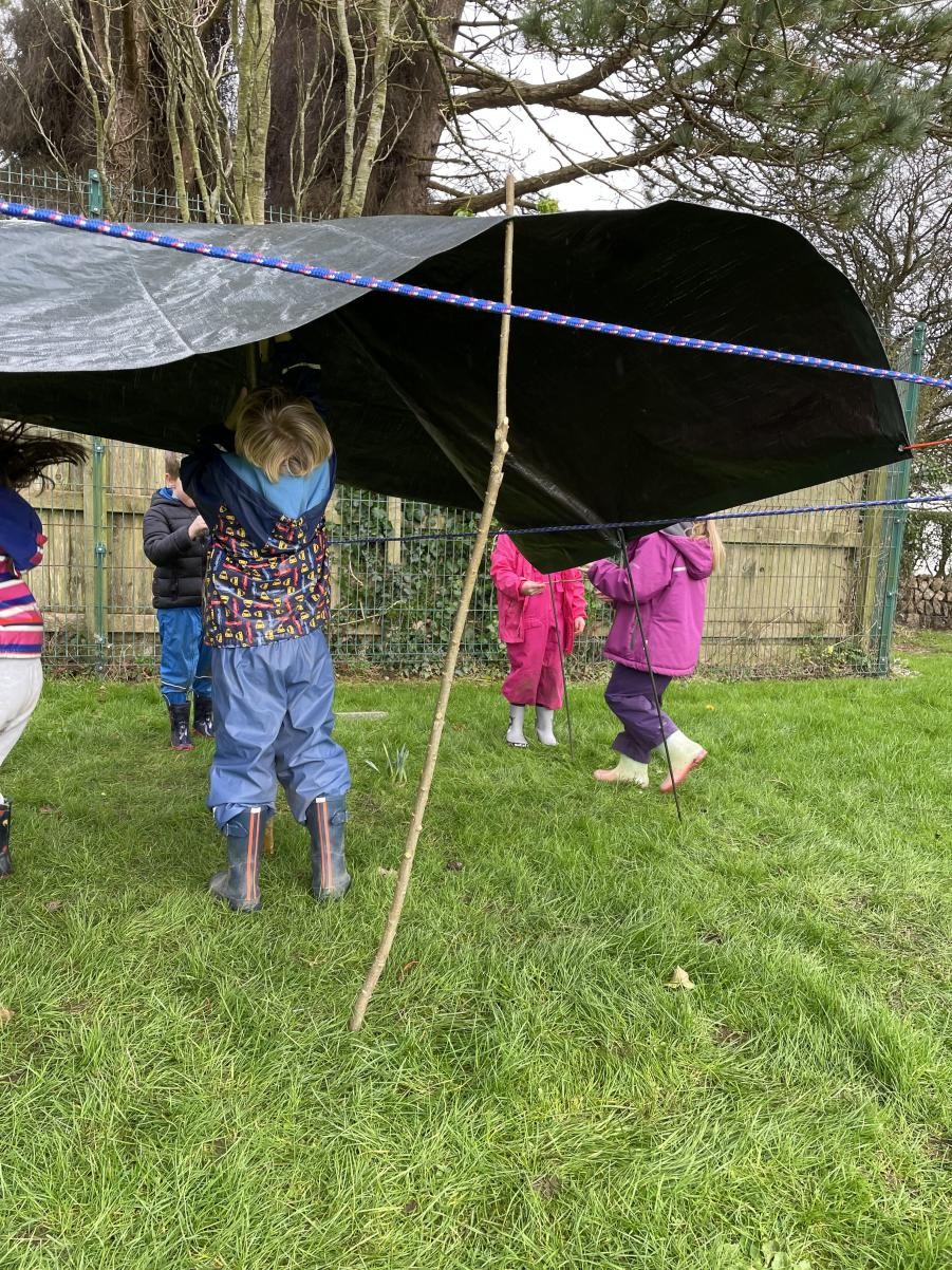 Using DT skills in Forest School