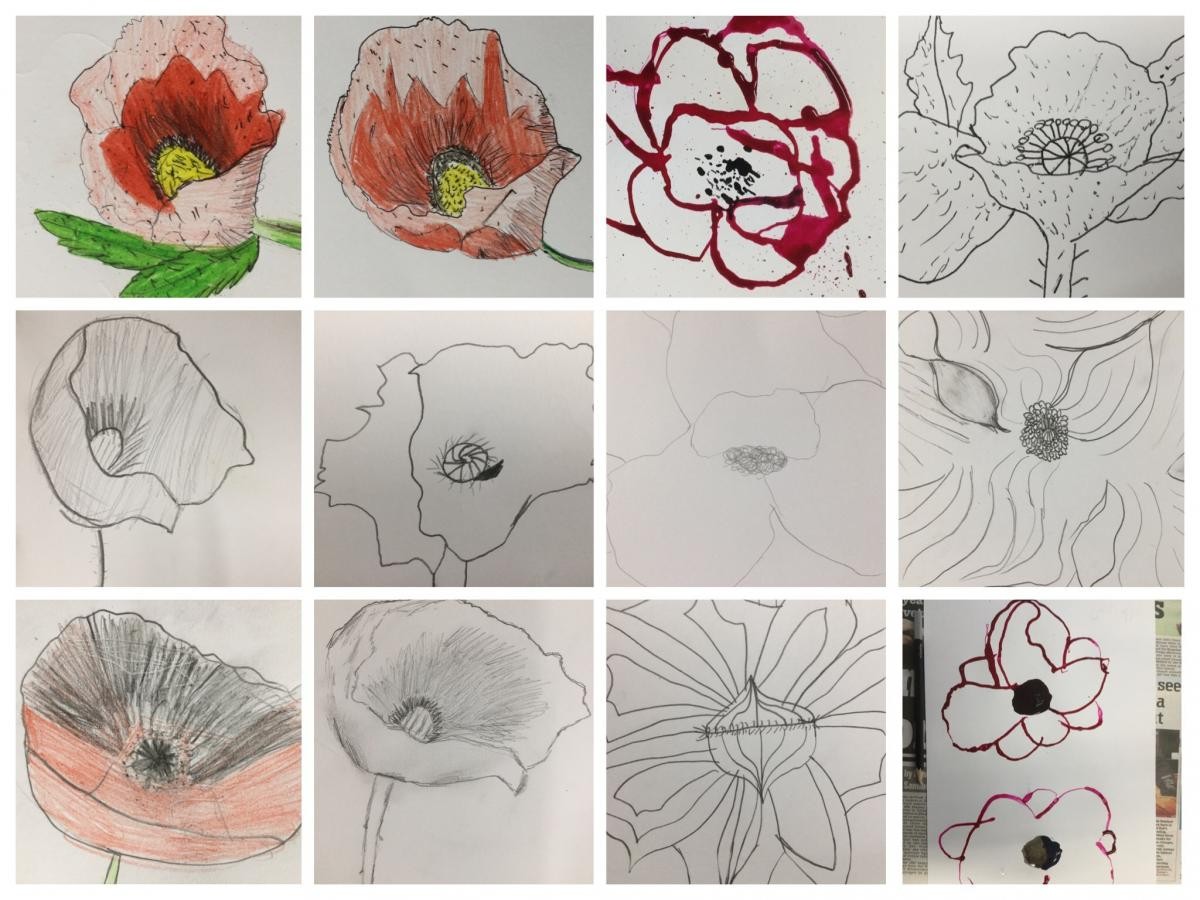 Poppies inspired by Georgia O’Keefe 