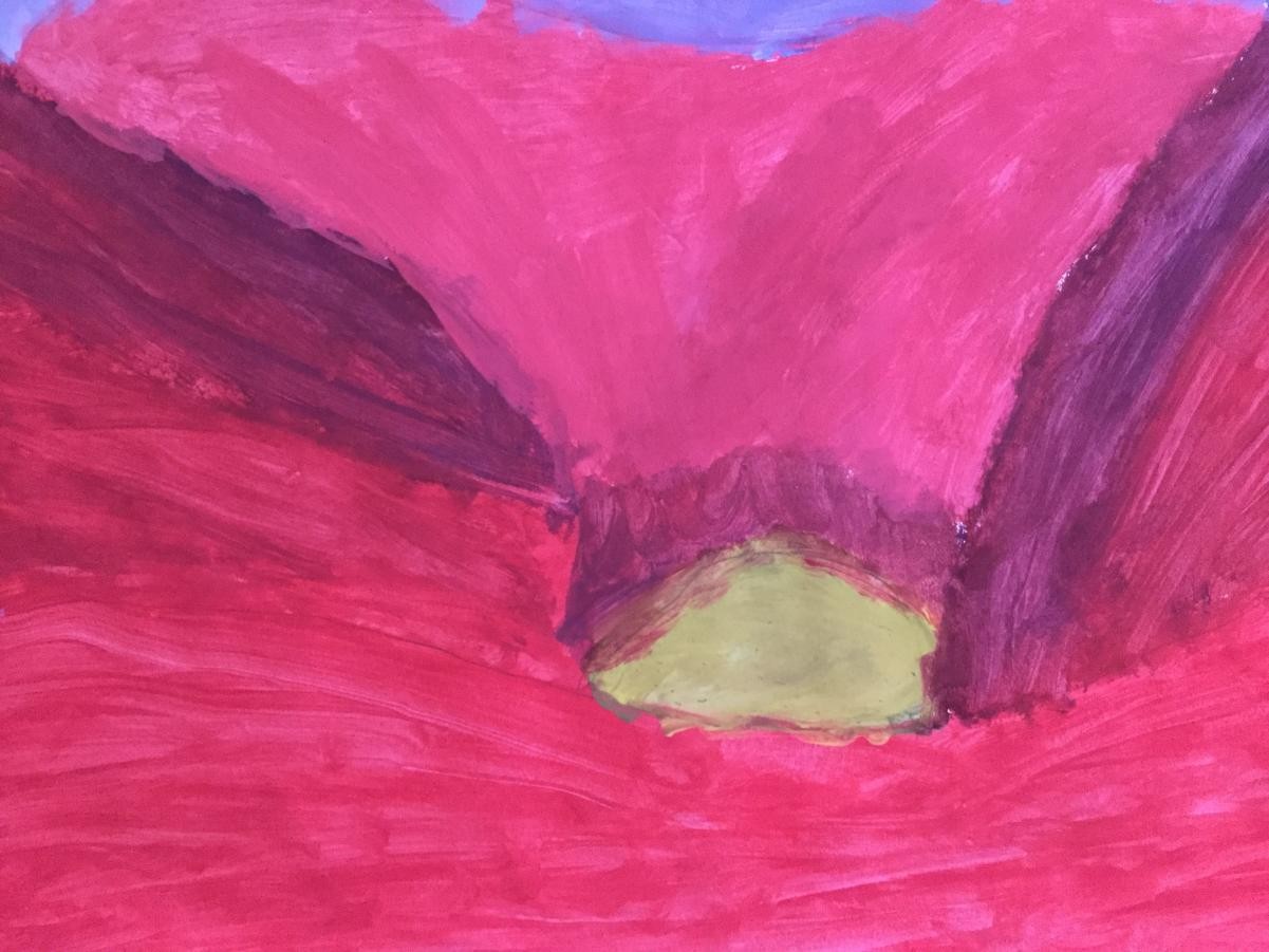 Poppies inspired by Georgia O’Keefe 