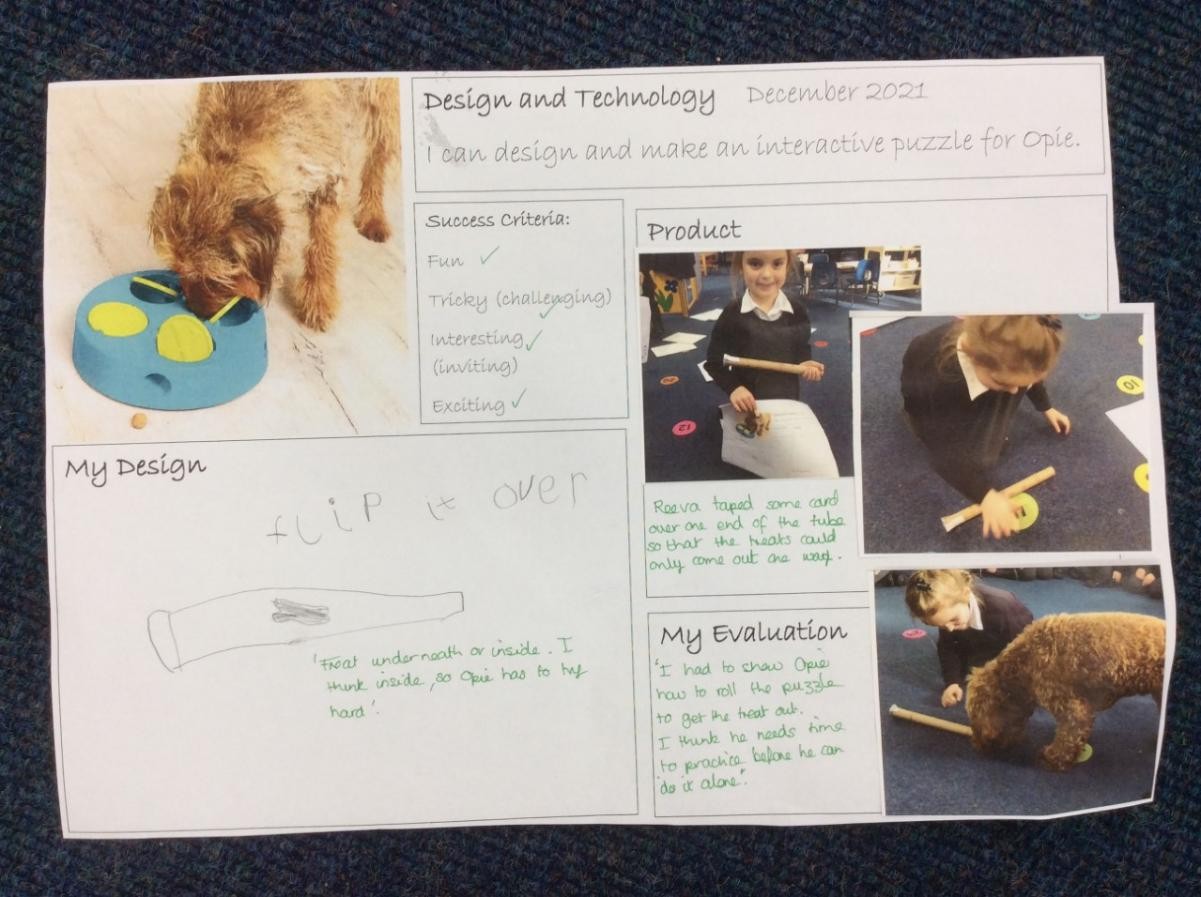 Research, design, make and evaluate a new dog toy for Opie