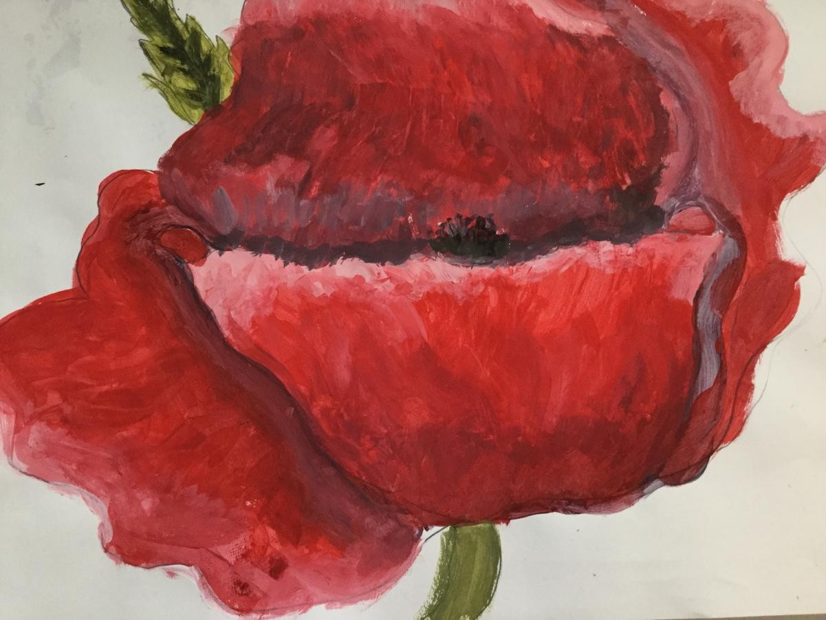 Poppies inspired by Georgia O’Keefe 