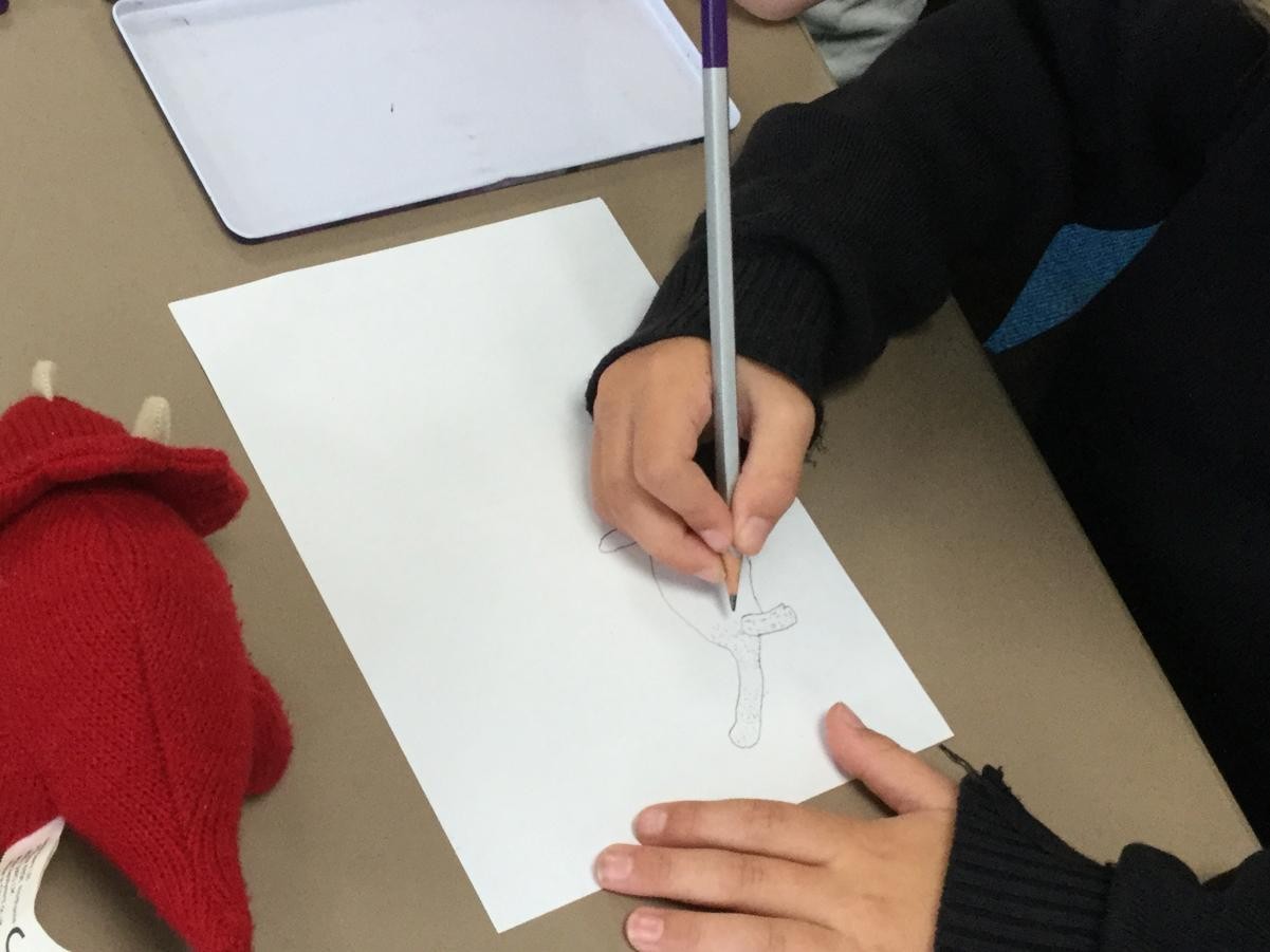 Drawing. Observational work