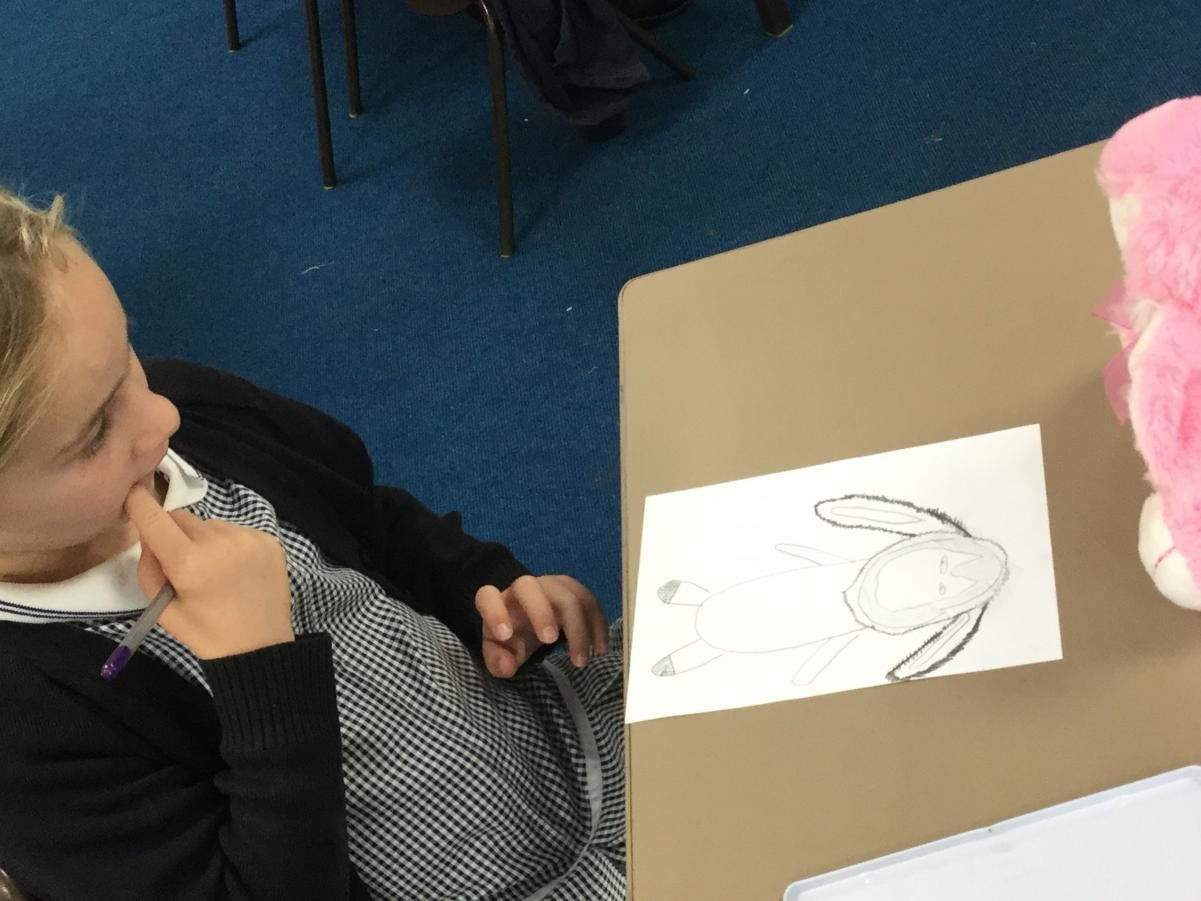 Drawing. Observational work