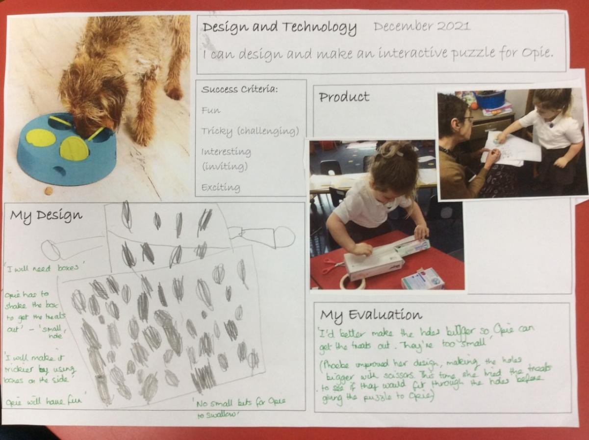 Research, design, make and evaluate a new dog toy for Opie