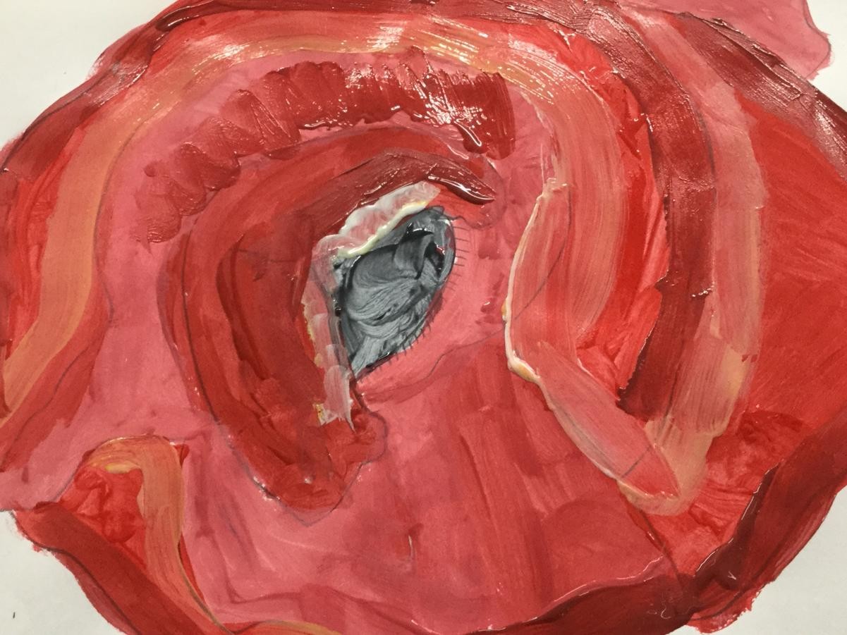 Poppies inspired by Georgia O’Keefe 