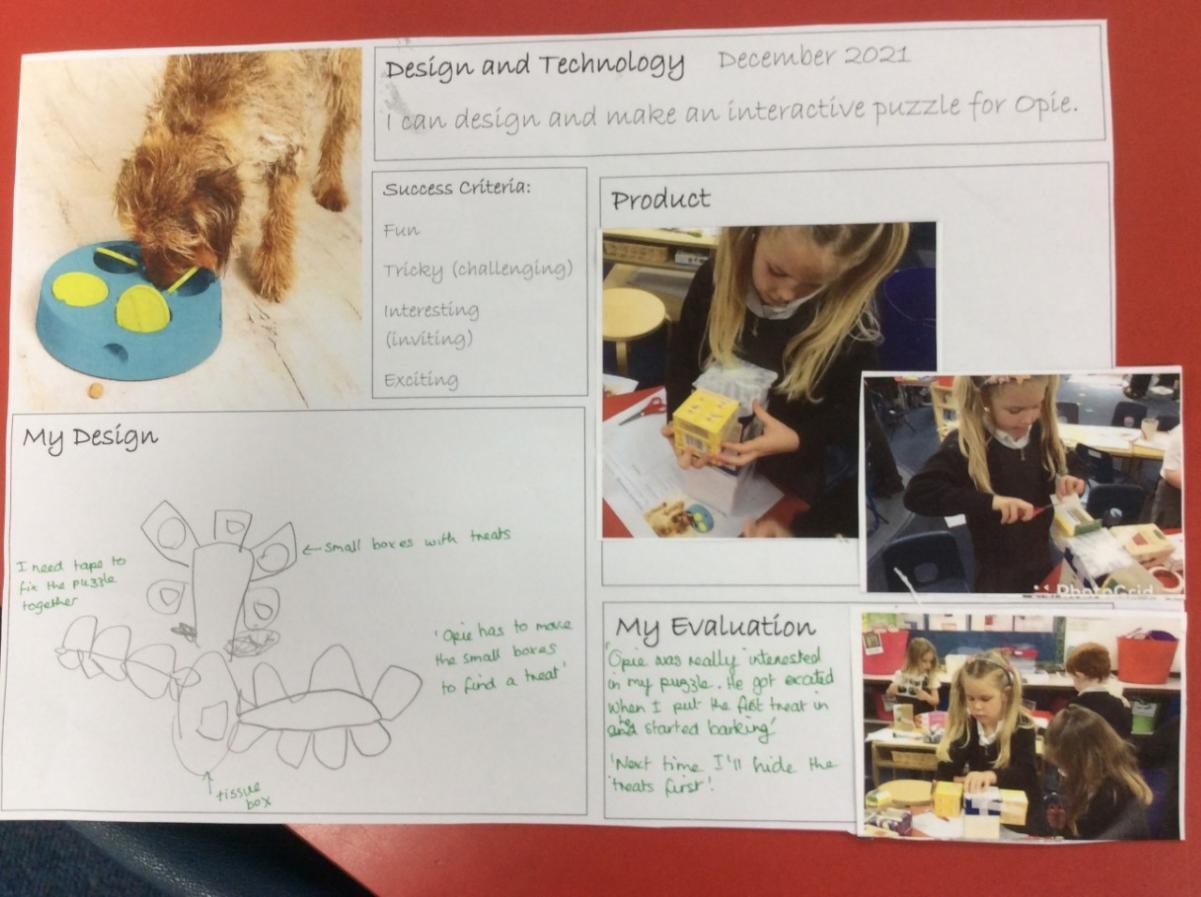 Research, design, make and evaluate a new dog toy for Opie