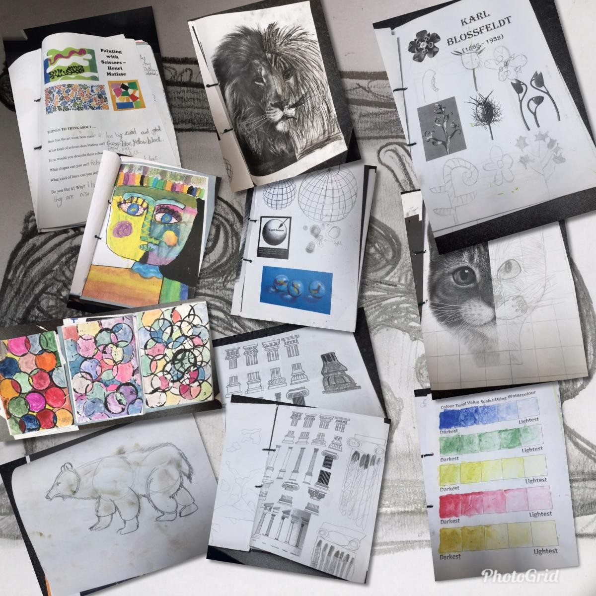 Various drawing book work
