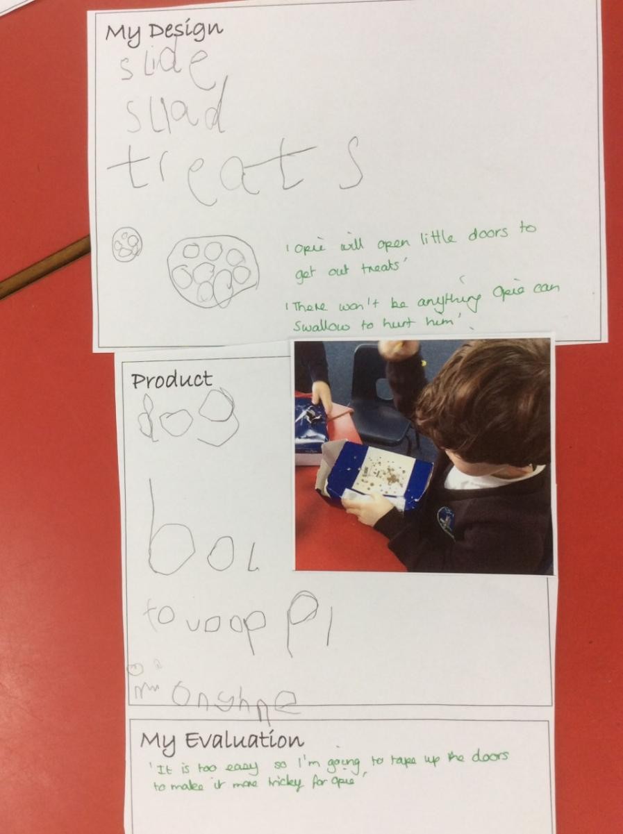 Research, design, make and evaluate a new dog toy for Opie