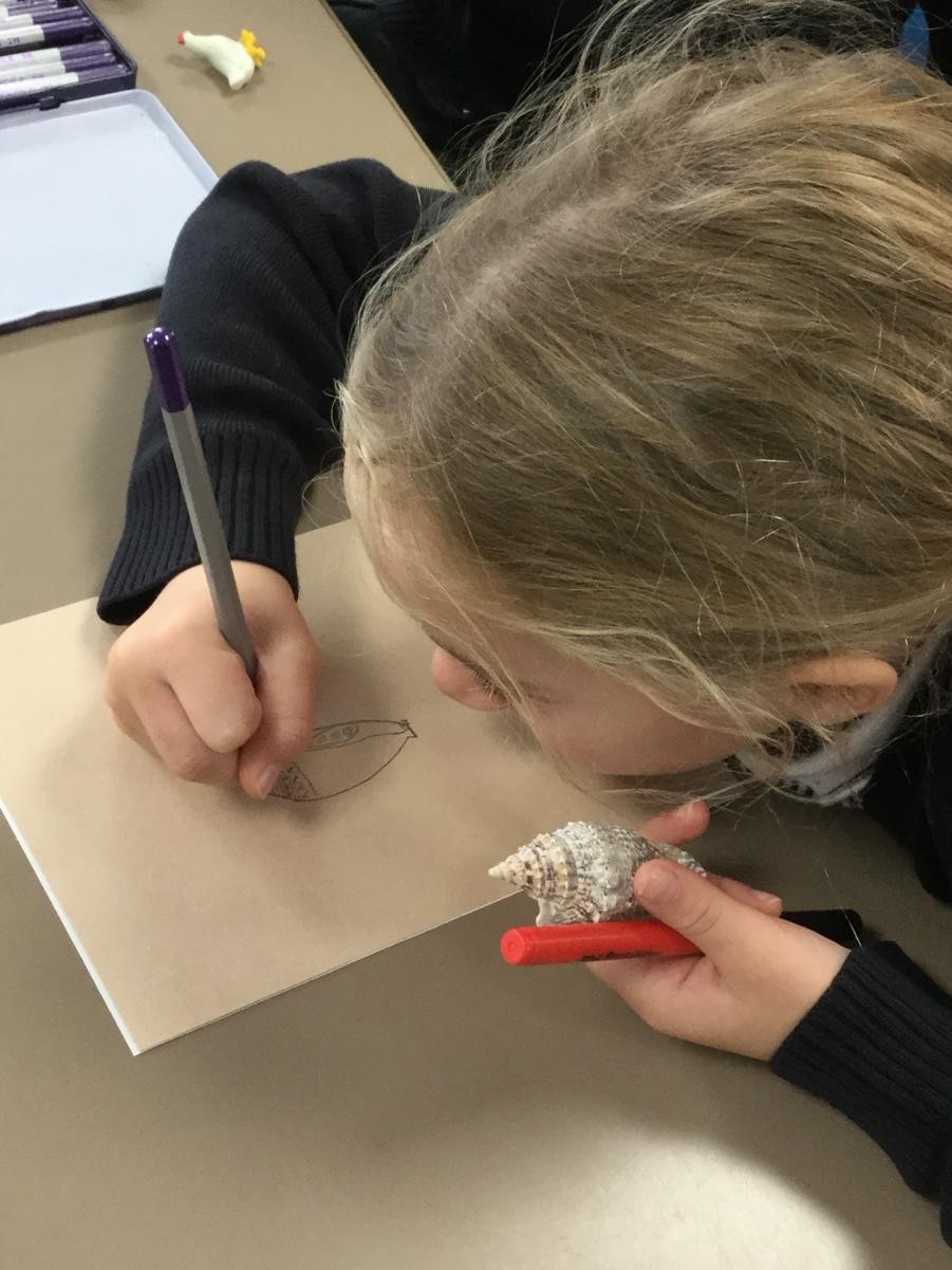 Drawing. Observational work