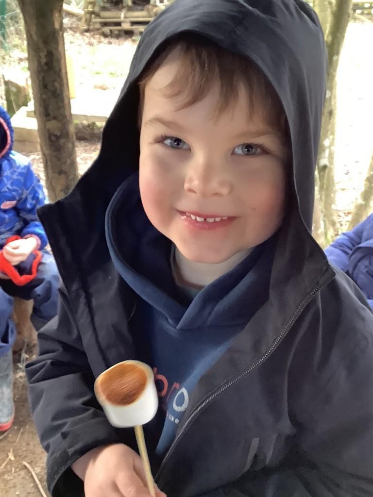 Toasting marshmallows over the campfire
