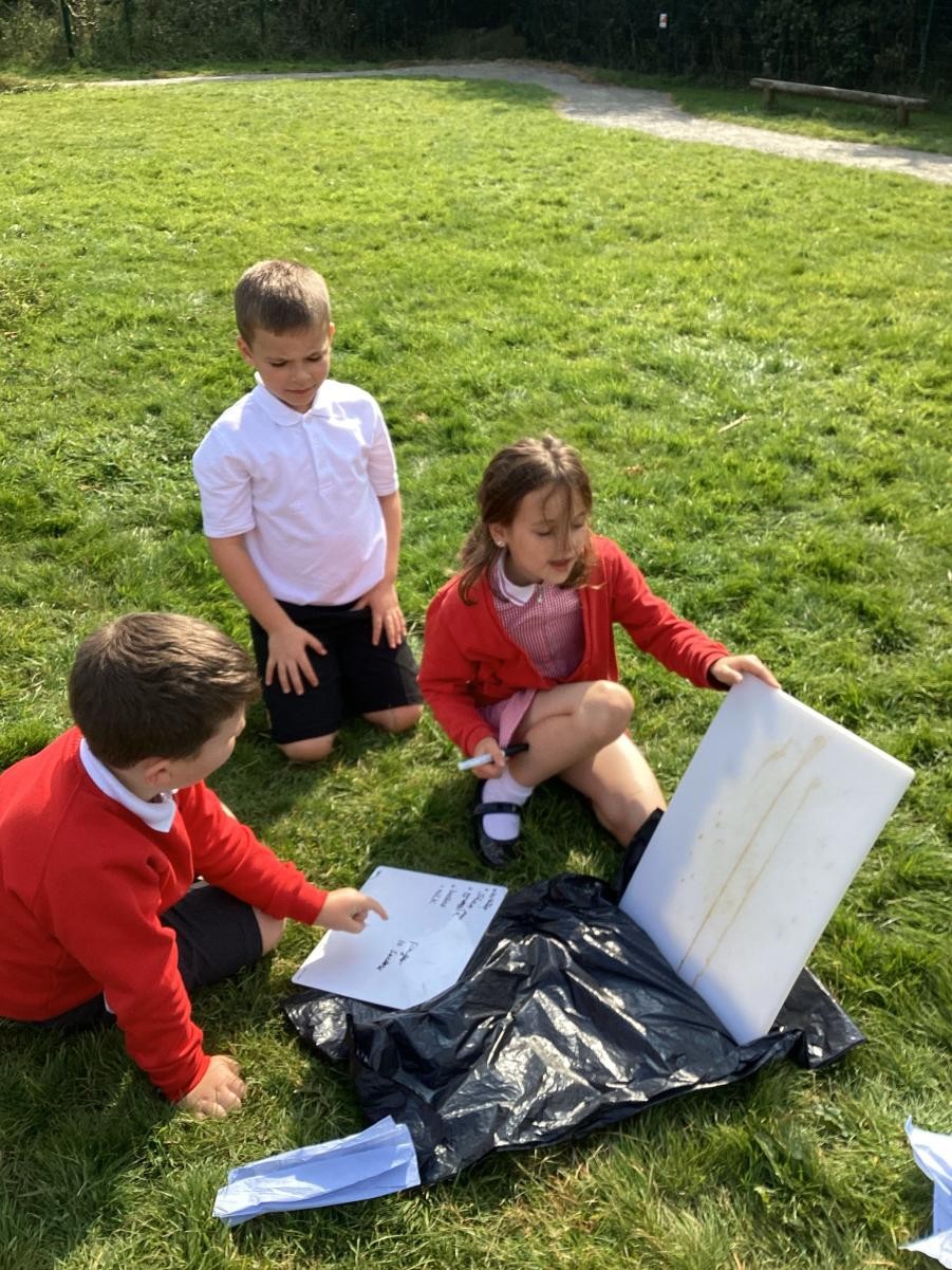 Investigating the viscosity of different liquids.