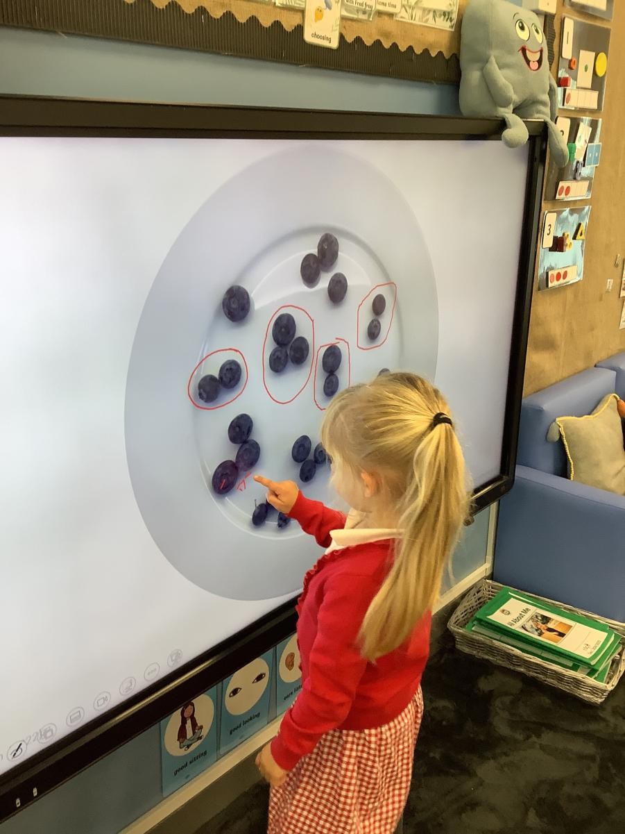 Practising our subitising skills